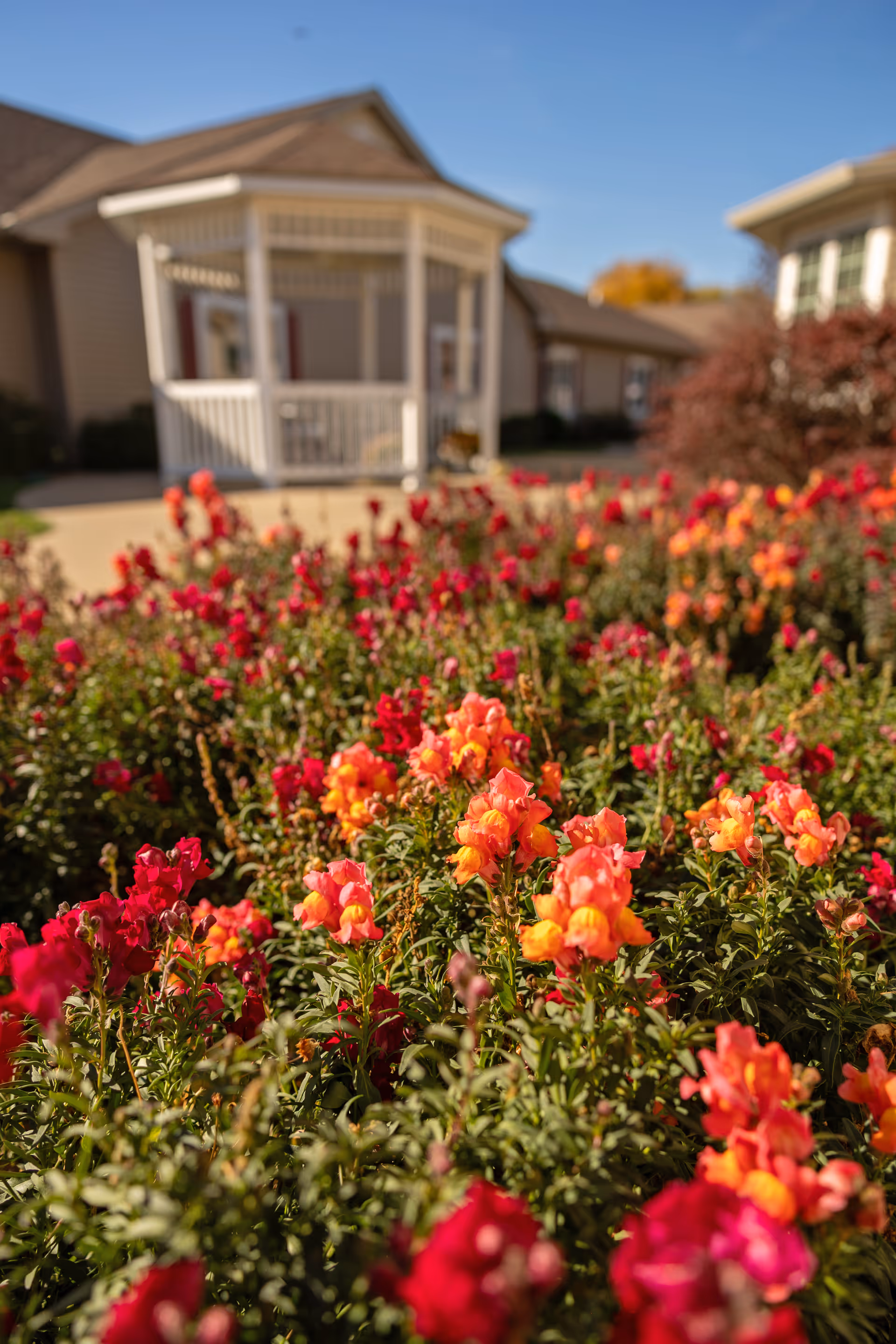 Colorful flowers bloom in the foreground with a white porch and facility building behind.