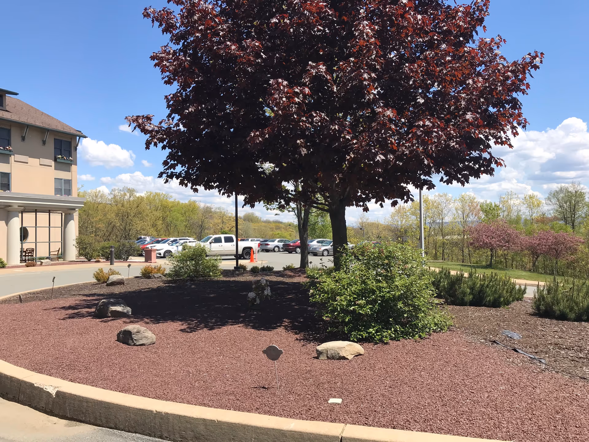 Exterior view of Allied Terrace facility with a large tree, parking lot, and landscaped entry.