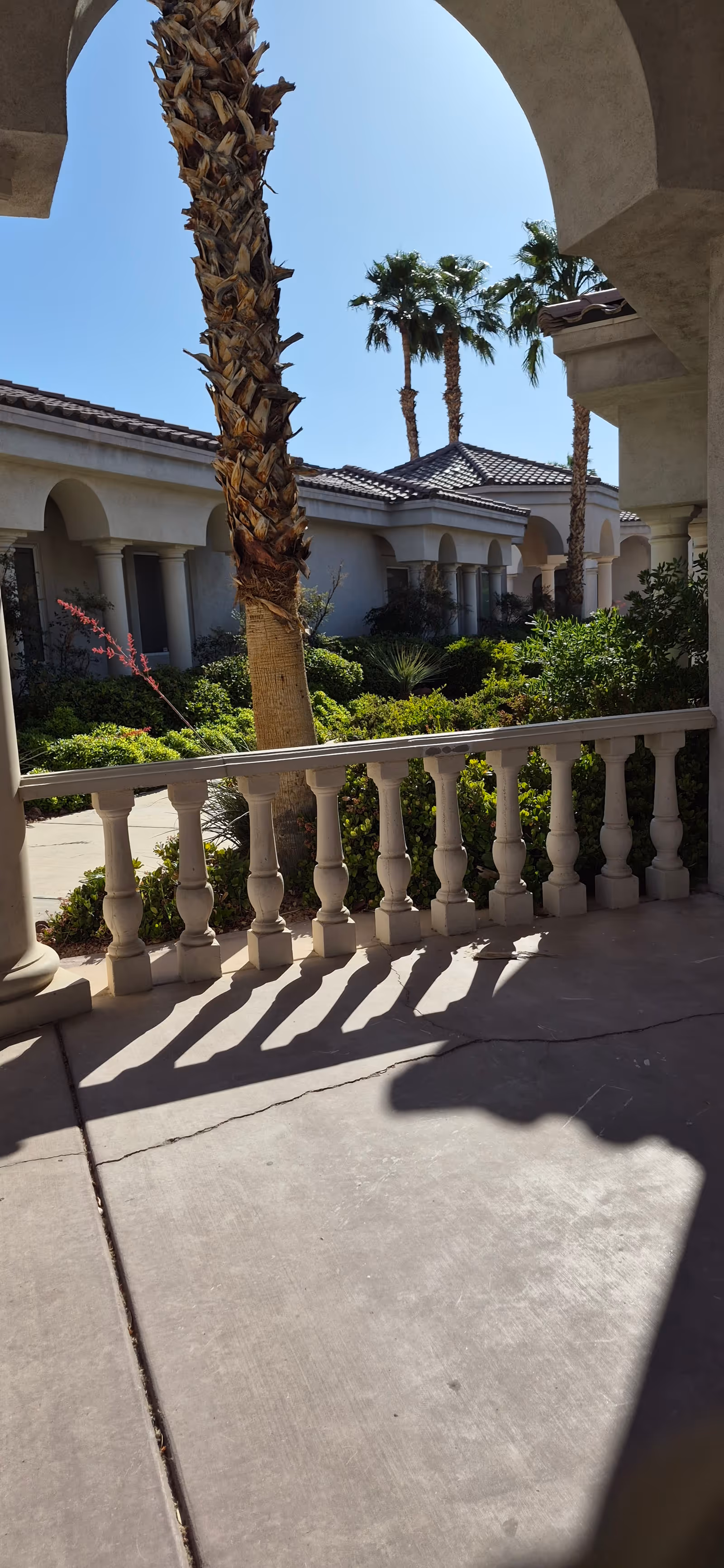 Sunny courtyard of a senior living facility with arches, railing, and palm trees.