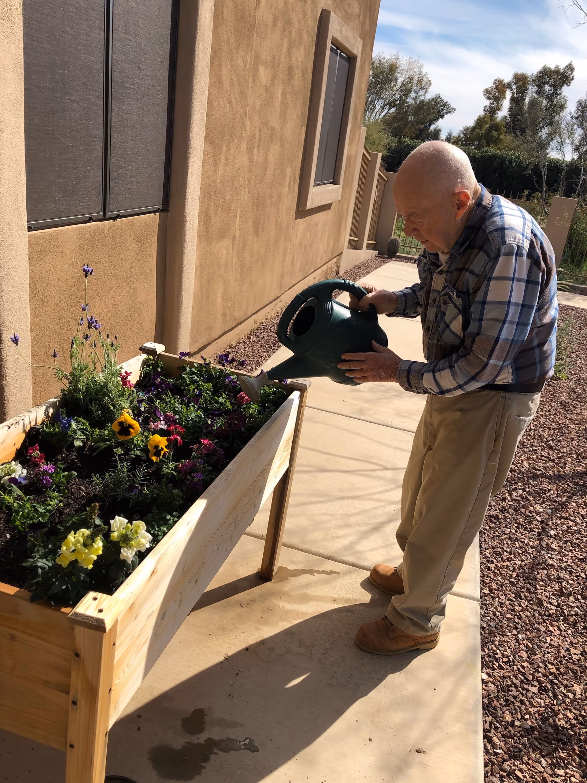 An elderly man wearing a plaid shirt and beige pants waters flowers in a raised wooden garden bed outside a building on a sunny day.
