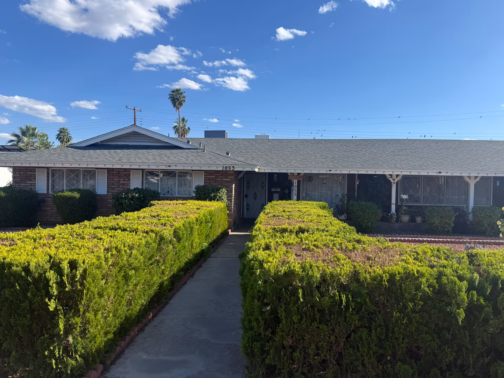 Single-story senior living building with a central walkway and trimmed hedges