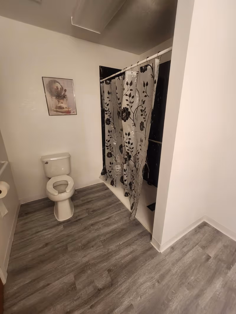 Small bathroom with toilet, shower curtain, framed art, and grey wood-style flooring.