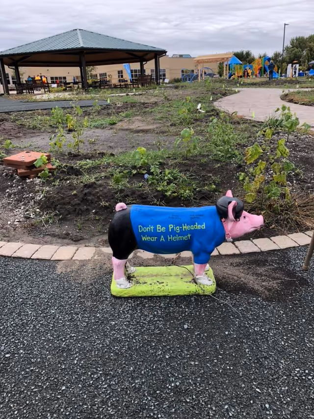 Outdoor garden area with a pig statue reading Don't Be Pig-Headed Wear A Helmet near path