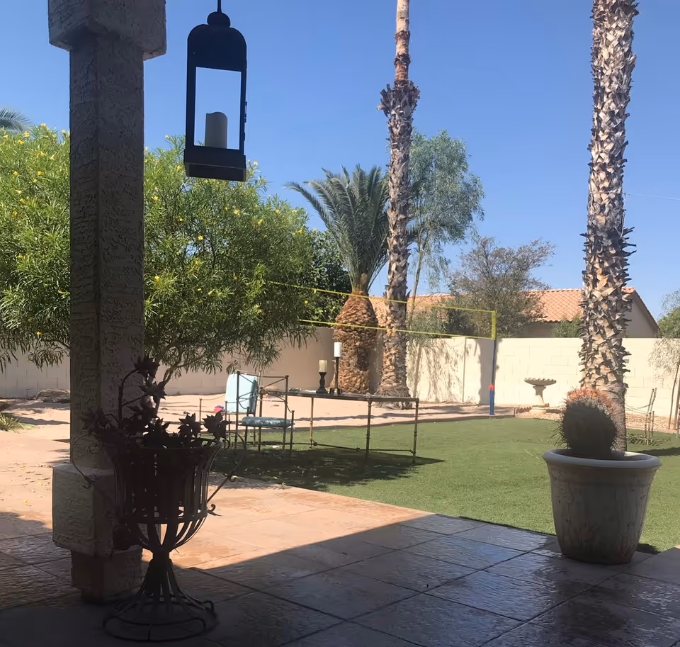 Sunny outdoor courtyard with palm trees, lawn, patio, and seating.