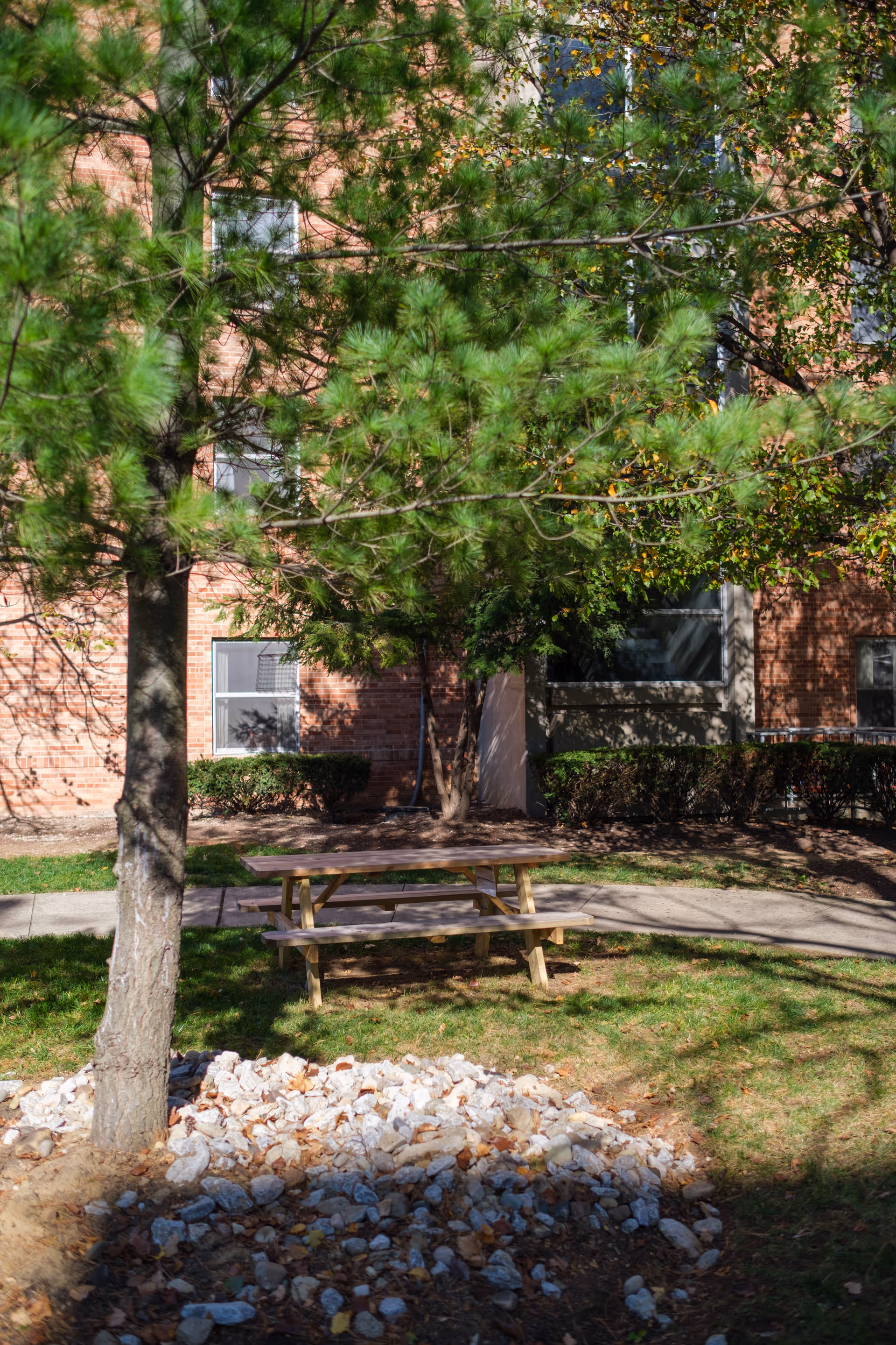 Outdoor area with a wooden picnic table and benches under a tree with green foliage. The background shows a brick building with windows and some bushes along the building's base. There is a patch of rocks and grass in the foreground.