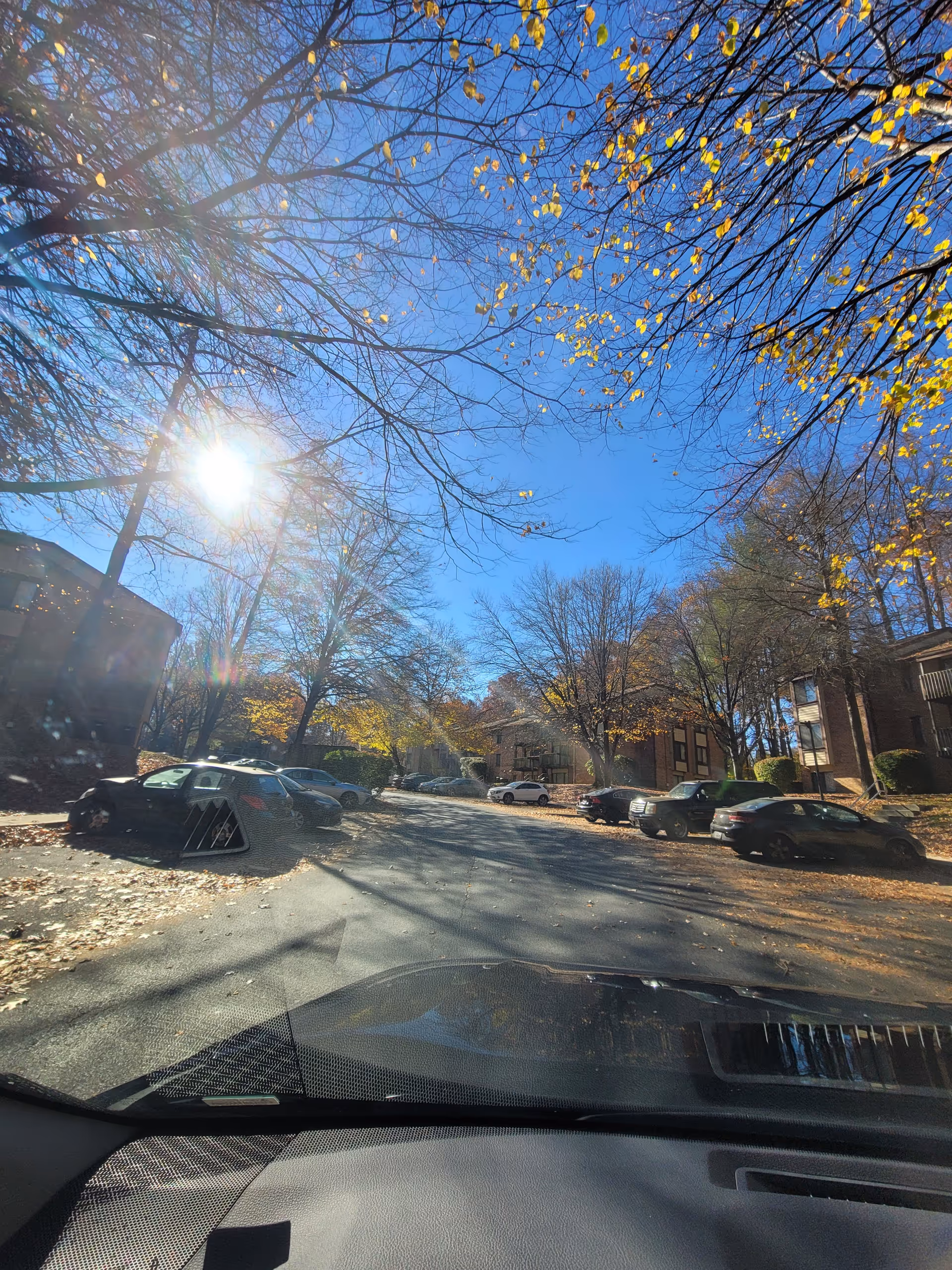 Sunlit suburban street lined with trees and parked cars, viewed from a car.