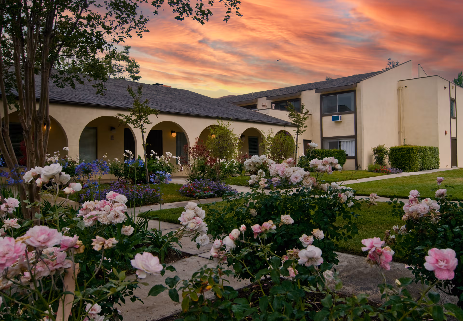 Heritage Court exterior building with arches and blooming roses at sunset.