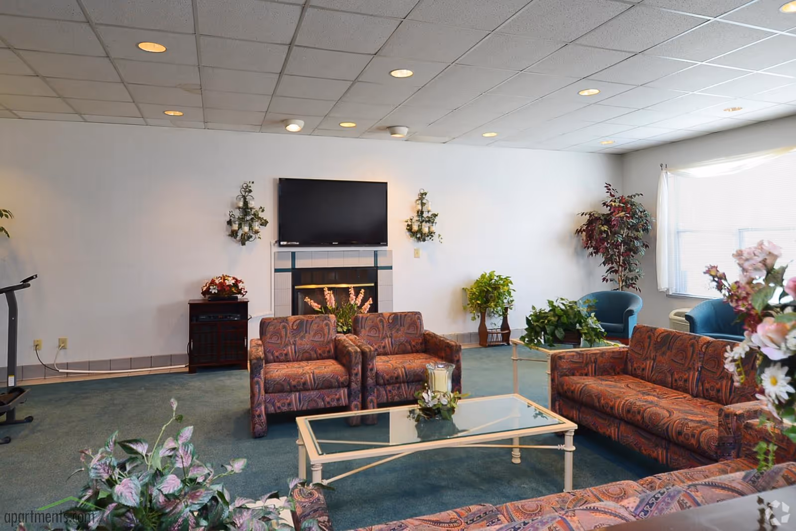 A cozy living room with patterned sofas and armchairs arranged around a glass coffee table. The room has a green carpet, a wall-mounted flat screen TV above a fireplace, several potted plants, and large windows letting in natural light.