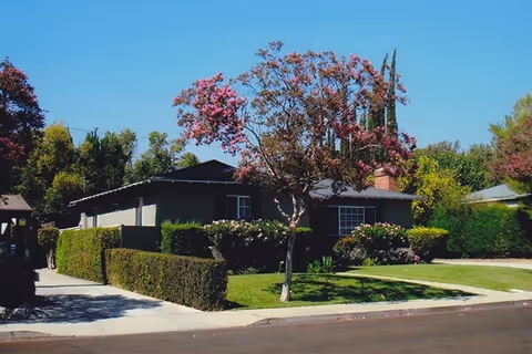 Single-story house with a manicured front lawn, trimmed hedges and a blooming tree under a clear blue sky.