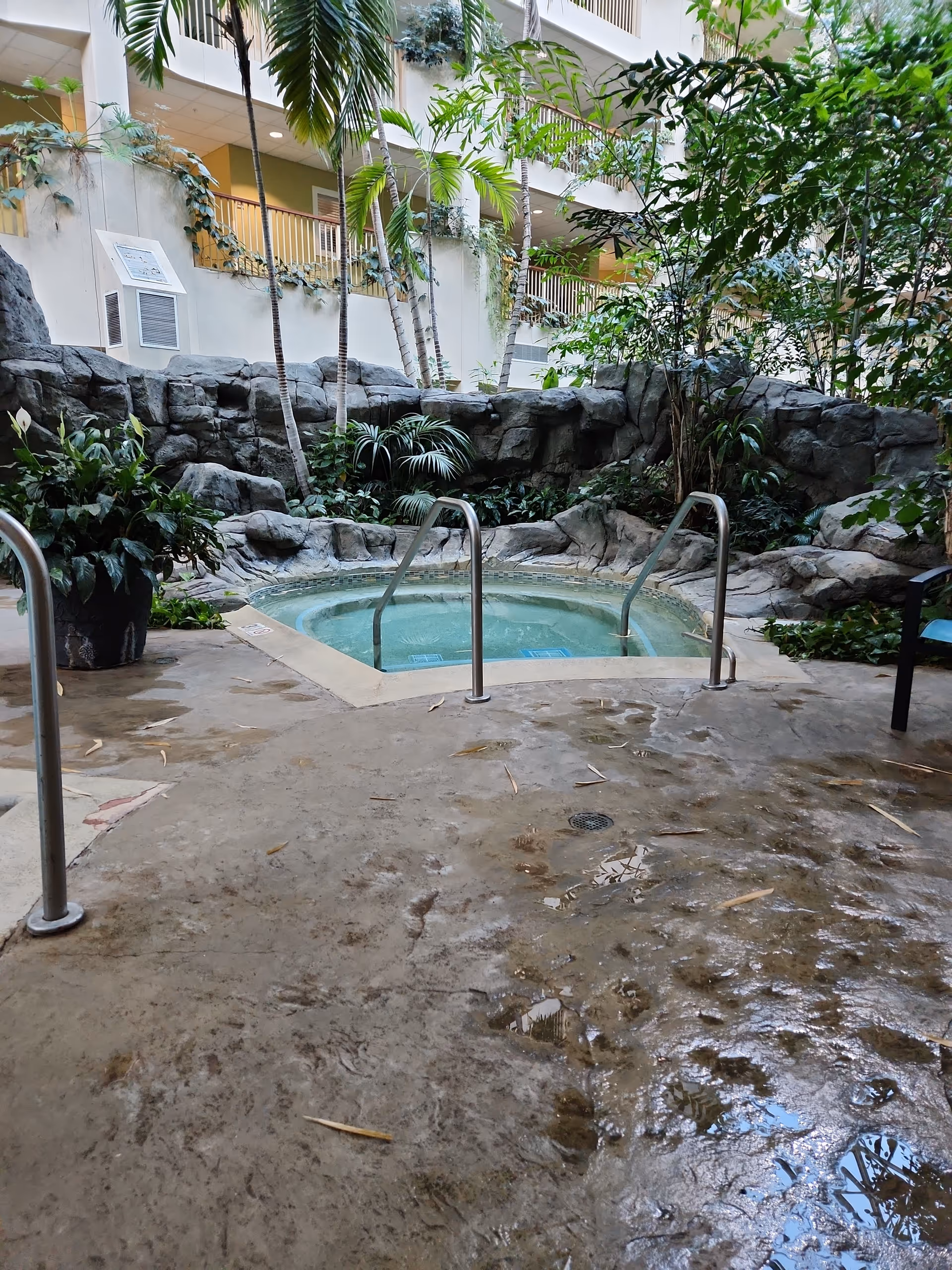 Indoor atrium spa pool with rocks, lush plants, and metal handrails.