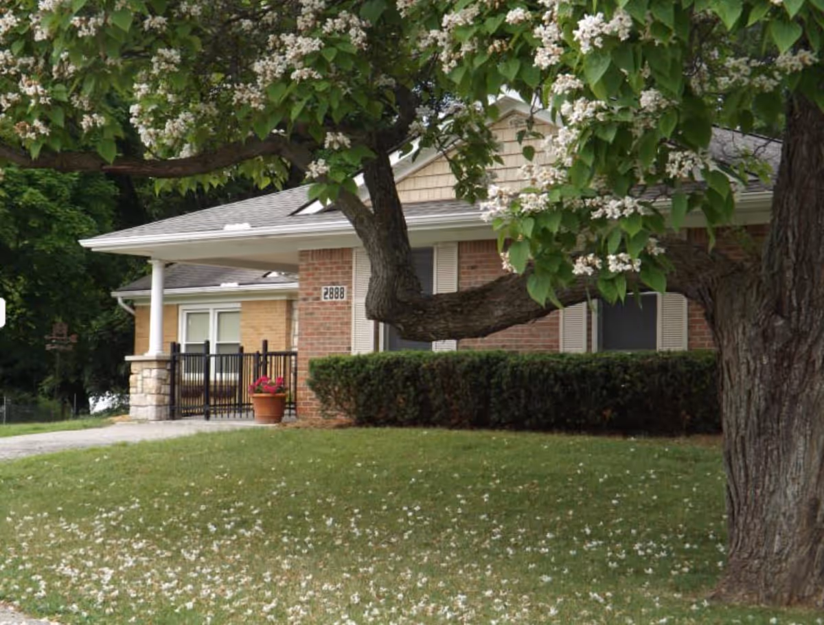 Exterior view of a single-story brick building with a covered porch, surrounded by green grass and a large tree with white flowers in the foreground.