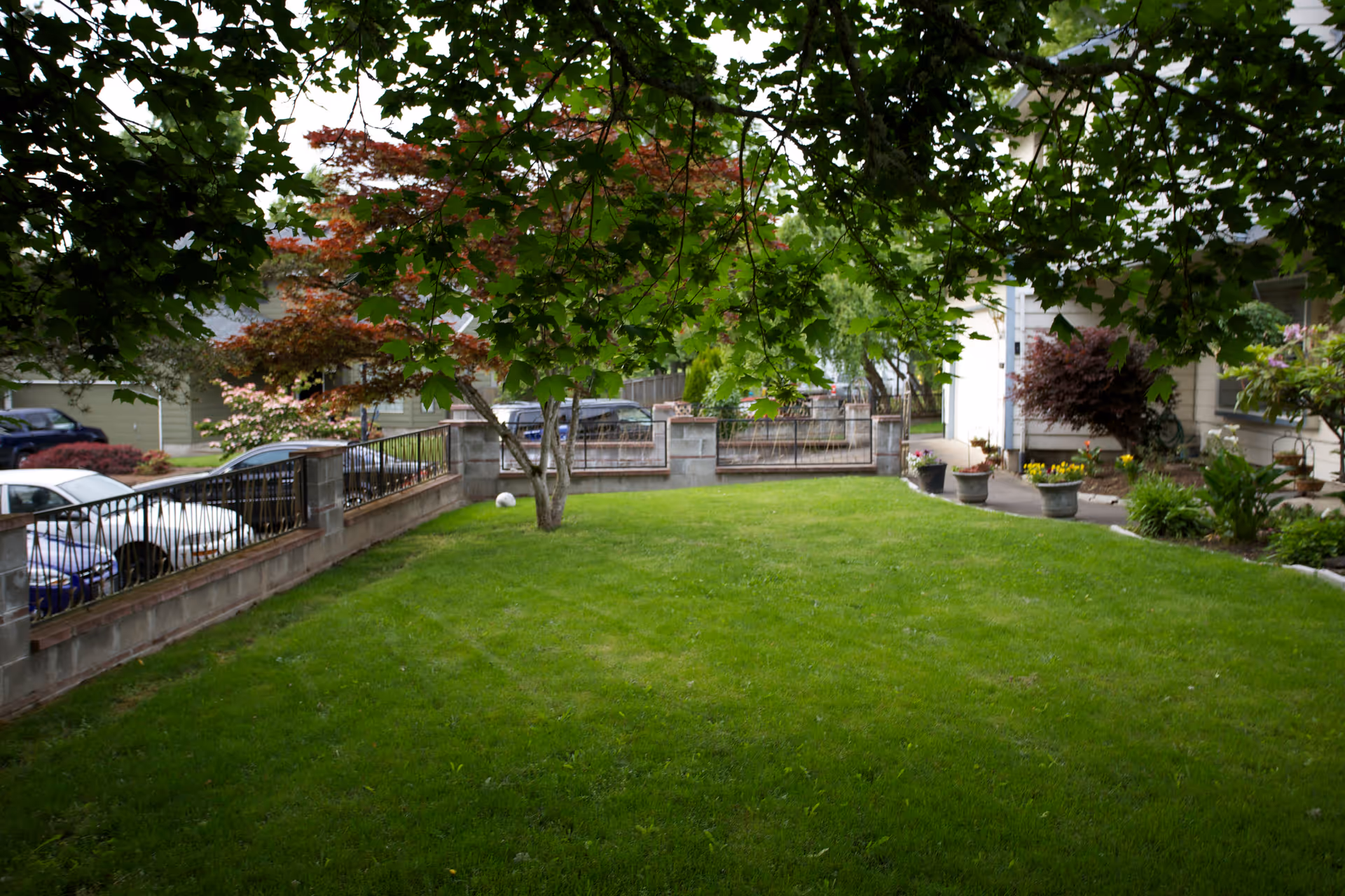 Green front lawn with a tree, low masonry fence, potted plants and parked cars by a residential building.