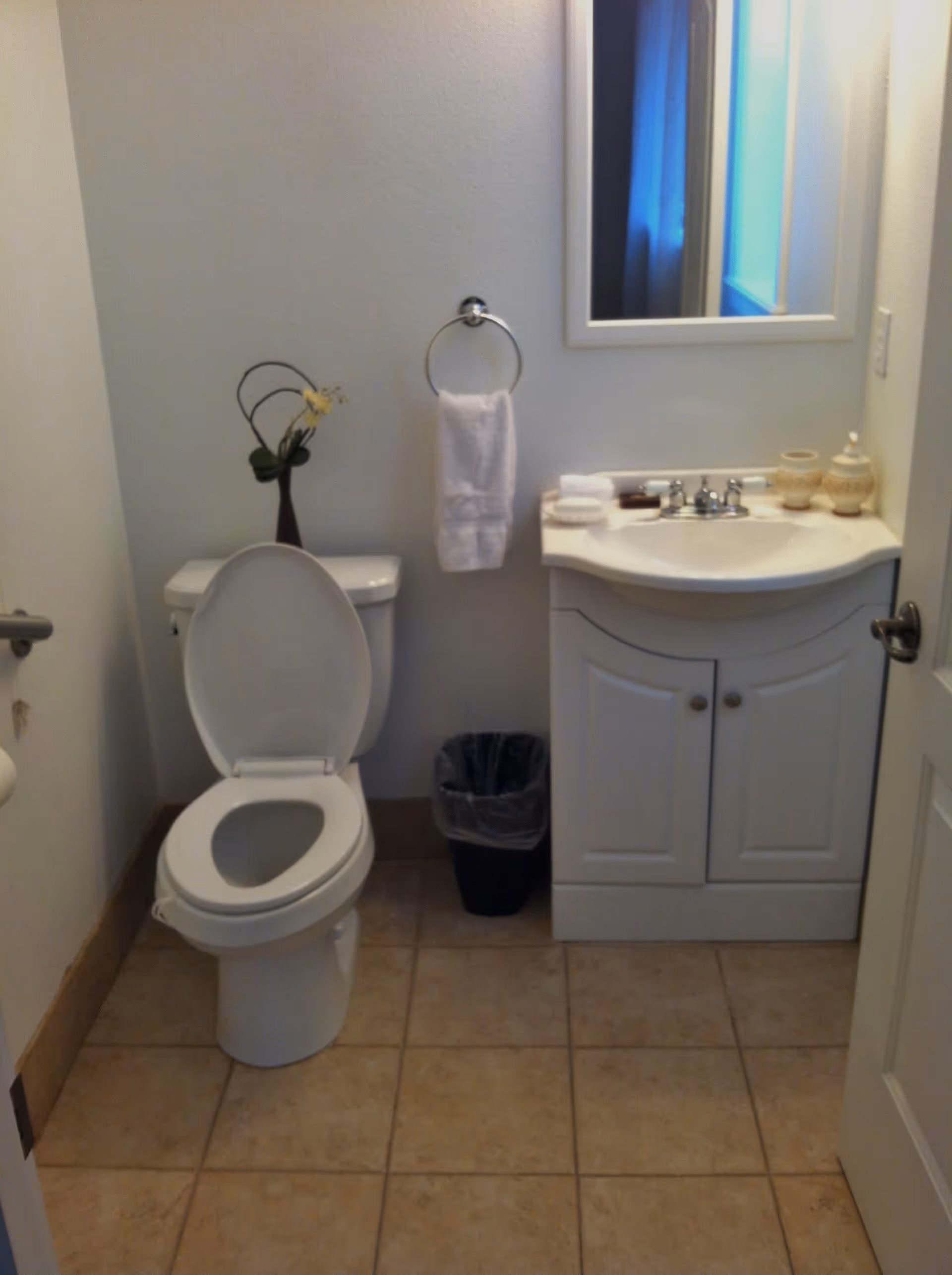 Small bathroom showing a toilet with the seat up, a white vanity and sink with mirror, towel ring, and a trash can.