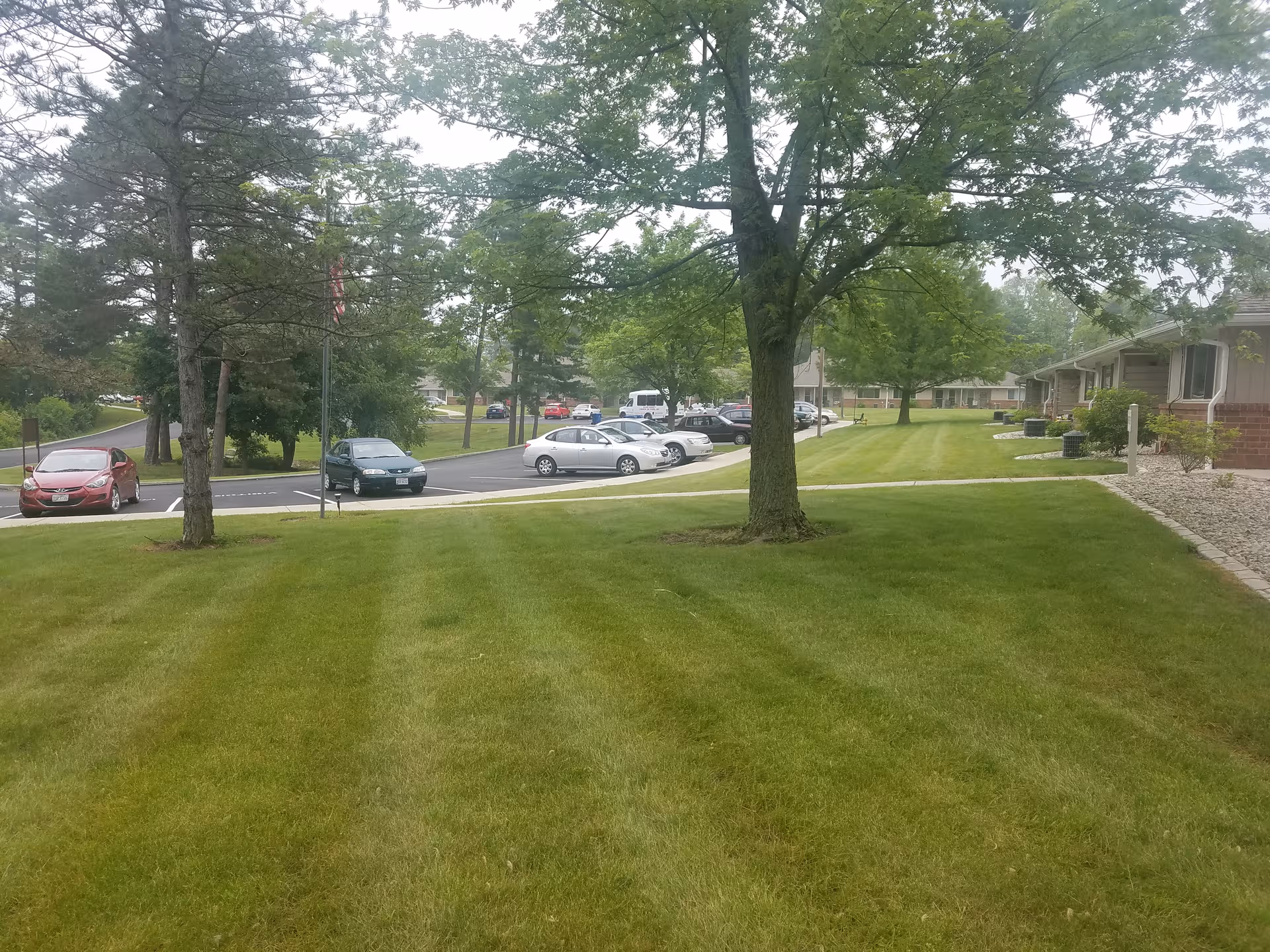 Well kept lawn with trees and a building front with parked cars nearby