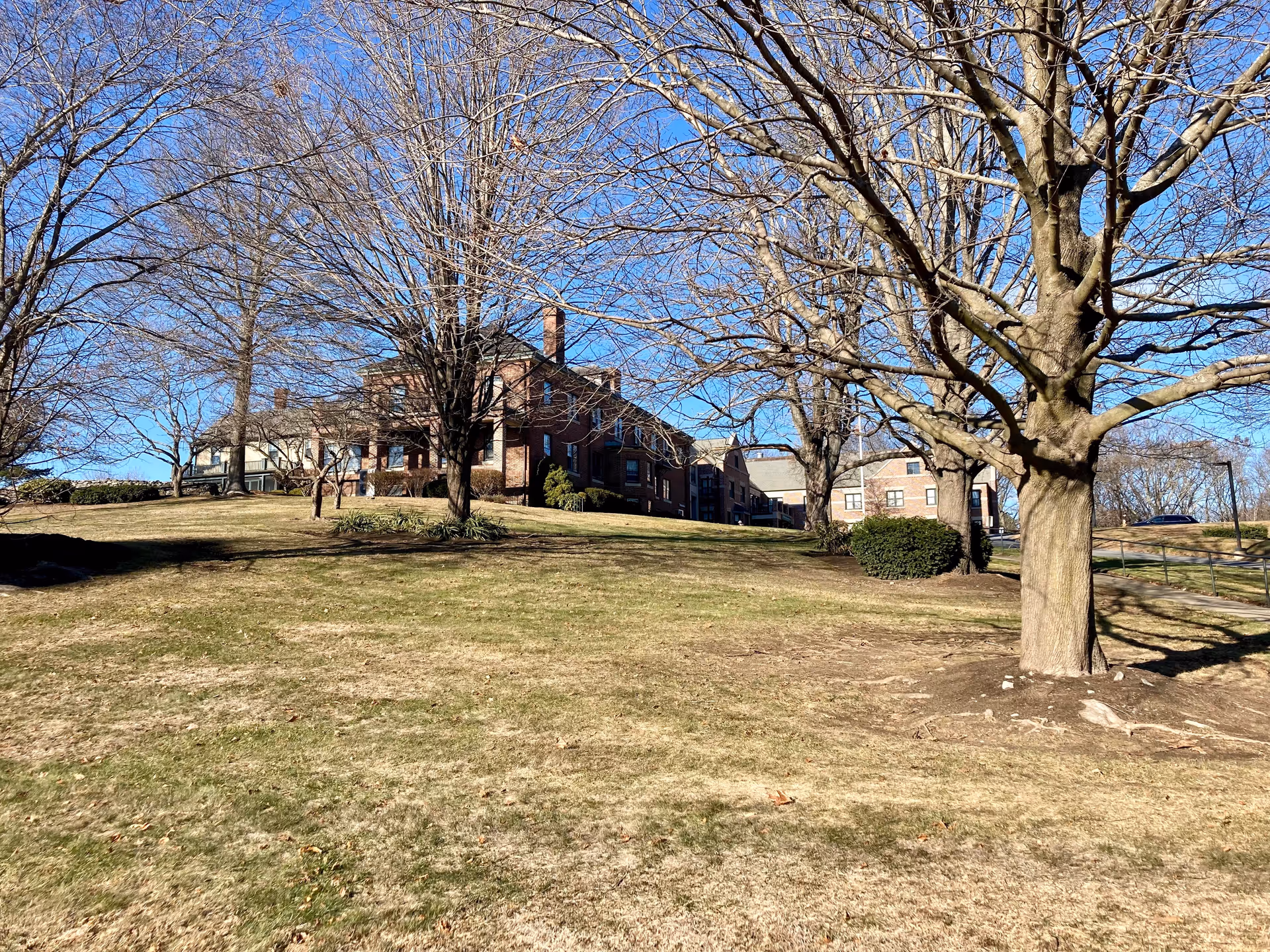 Brick senior living building on a grassy hill with leafless trees and a clear blue sky.