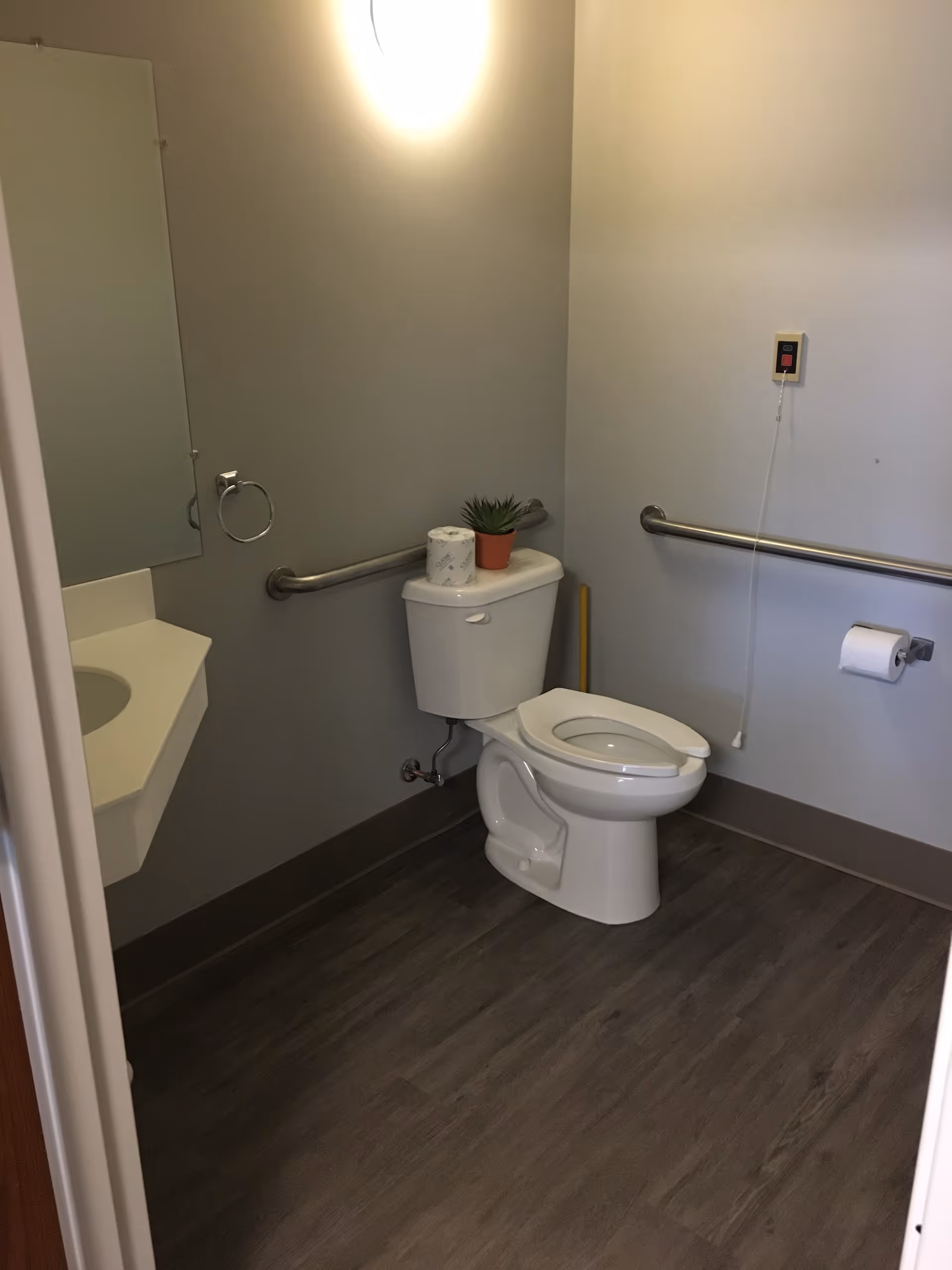 Accessible senior living facility bathroom with toilet, sink, grab bars, and a small plant.