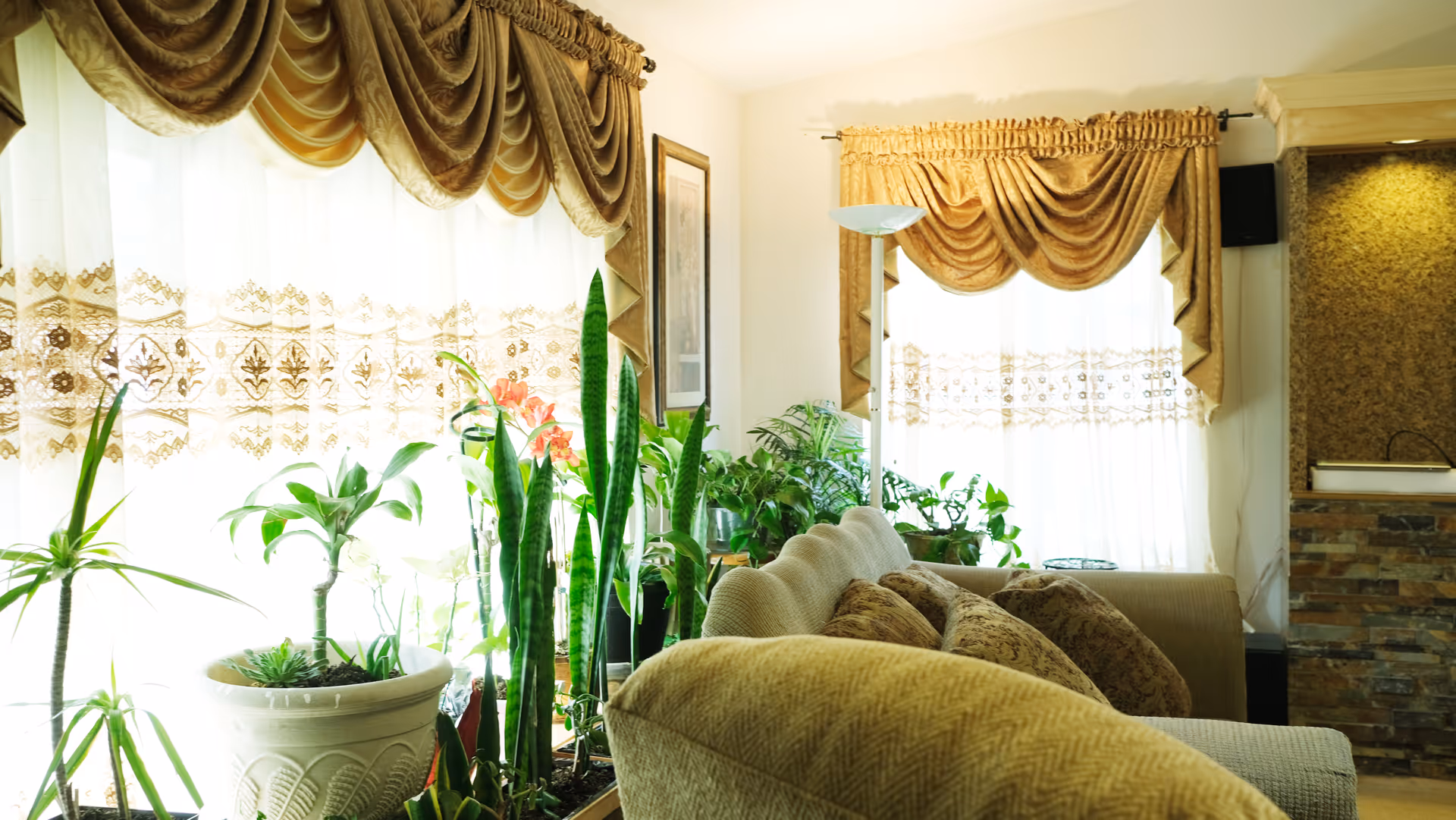 Sunlit living room in a senior home with plants, a beige sofa, and ornate curtains.