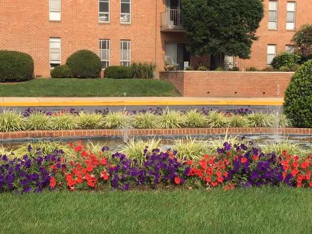 A landscaped outdoor area in front of a brick apartment building featuring a circular flower bed with red and purple flowers, green shrubs, and a small water fountain in the center. The building has multiple windows and a balcony with a tree nearby.