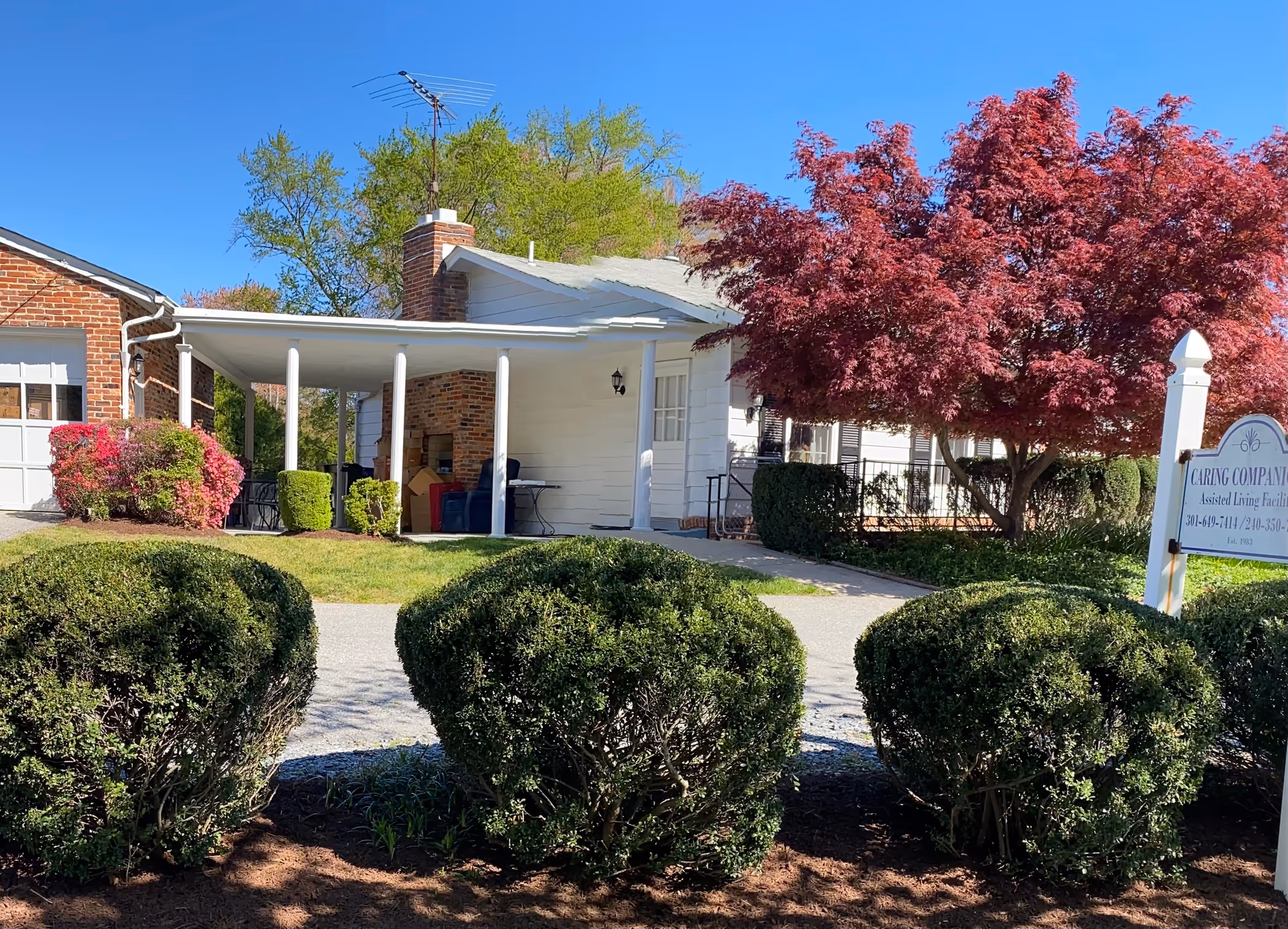 Exterior view of Caring Companion senior living facility with porch, hedges, and red-leaf tree.