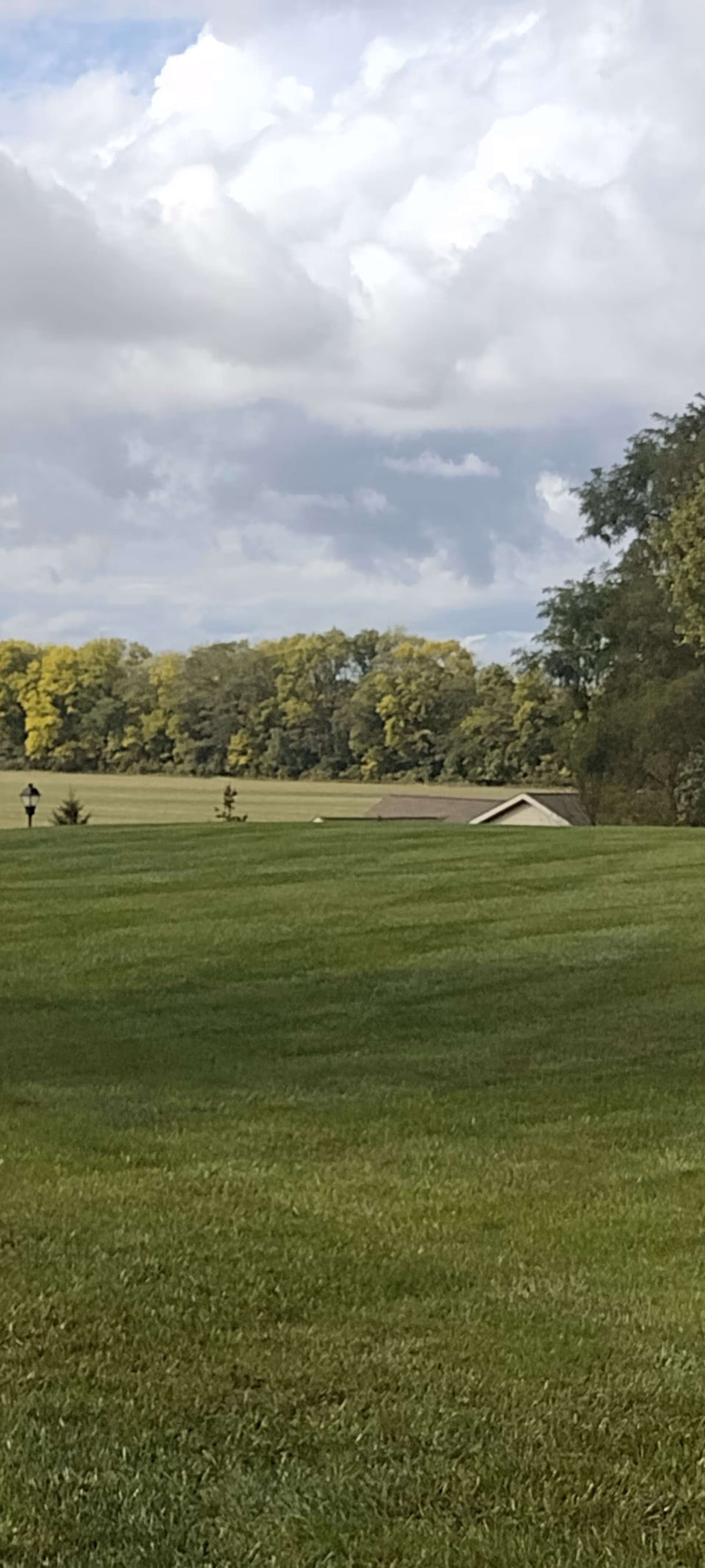 Expansive grassy field with trees, a distant roof, and a cloudy sky overhead.