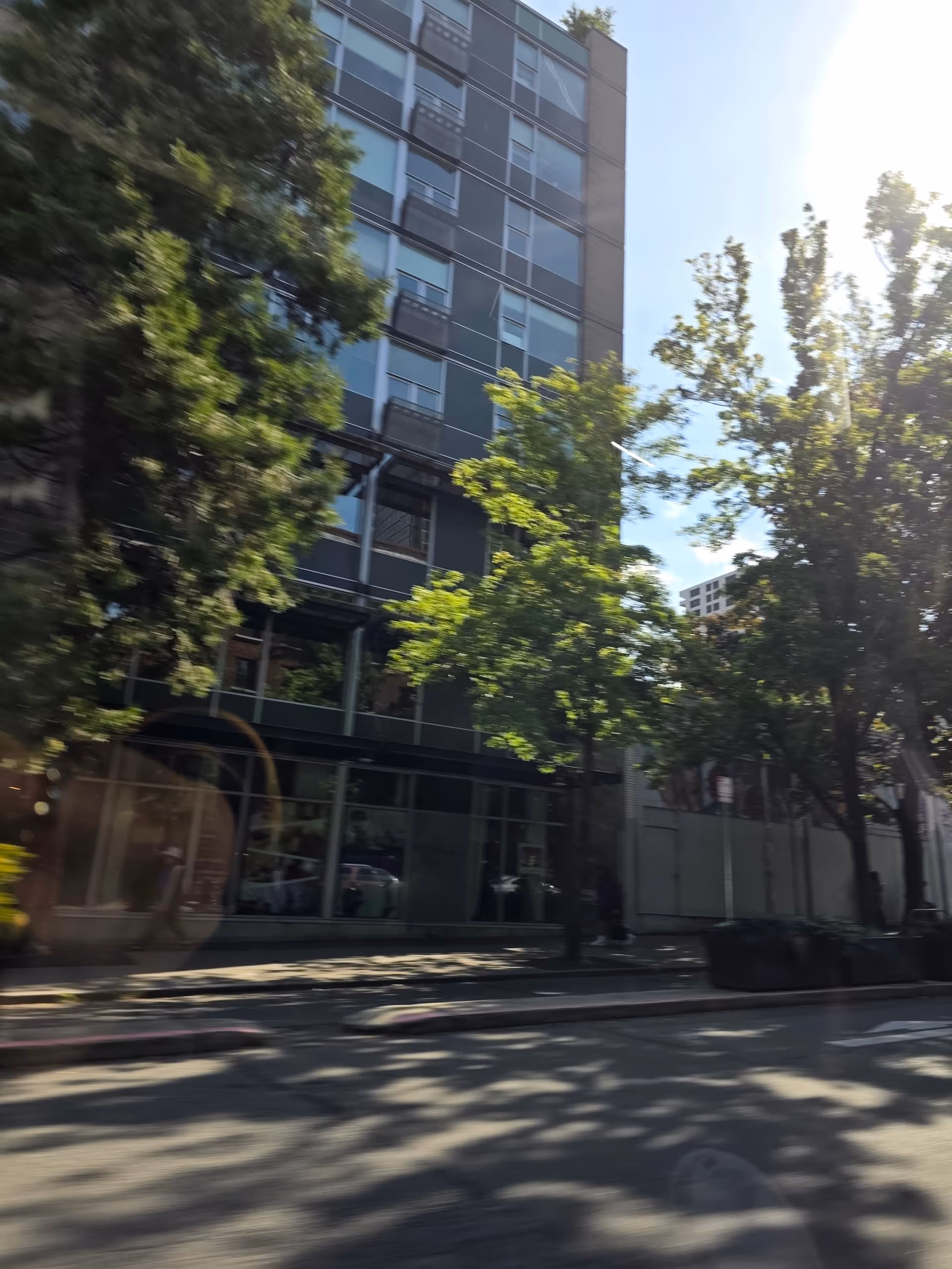 Tall modern building exterior along a tree-lined street with shadows.