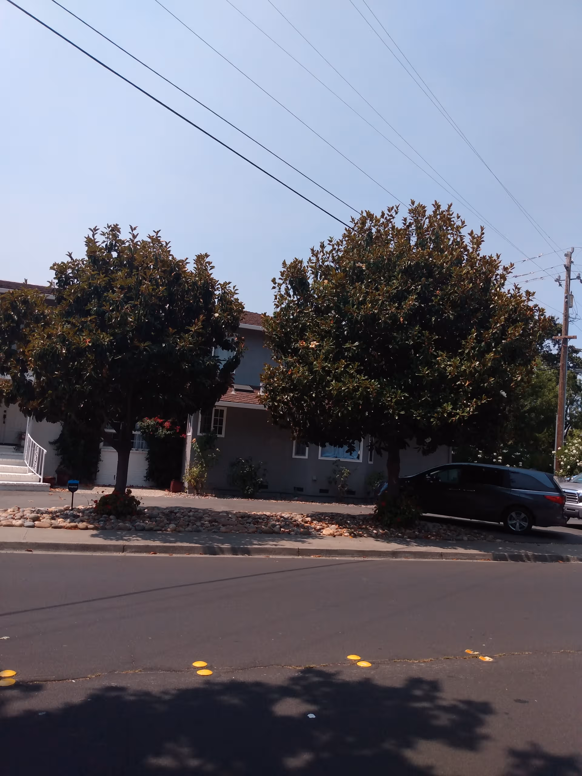 Street view of a building front with large trees and a parked car.