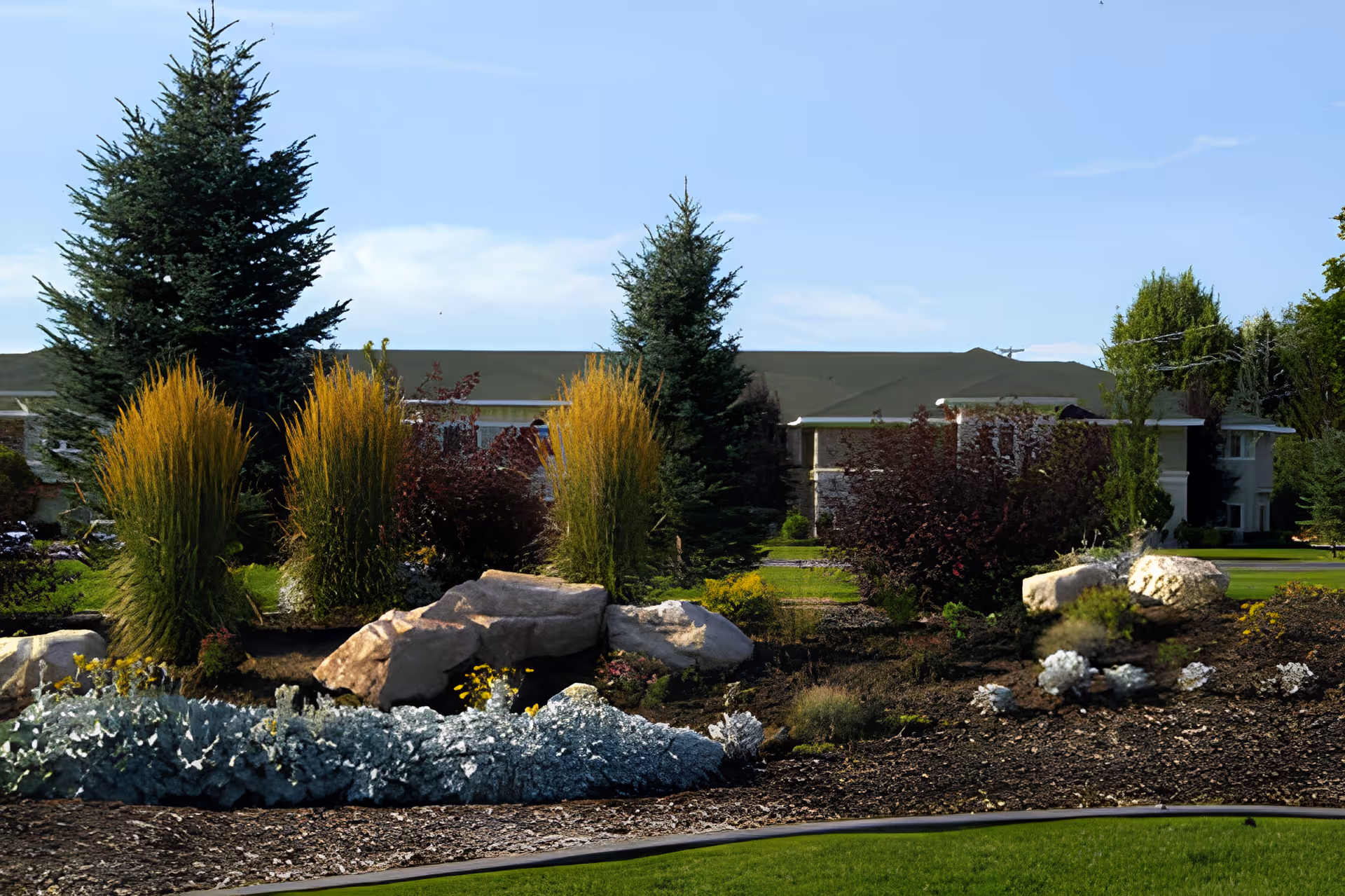 Landscaped front yard with ornamental grasses, rocks, shrubs and evergreen trees in front of a low building under a blue sky.