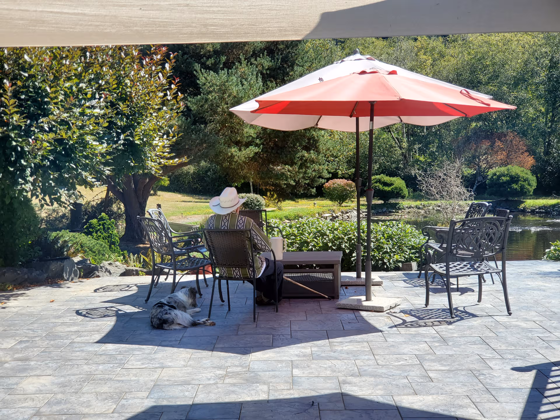 An elderly resident sits under a large umbrella on a patio with garden and dog.