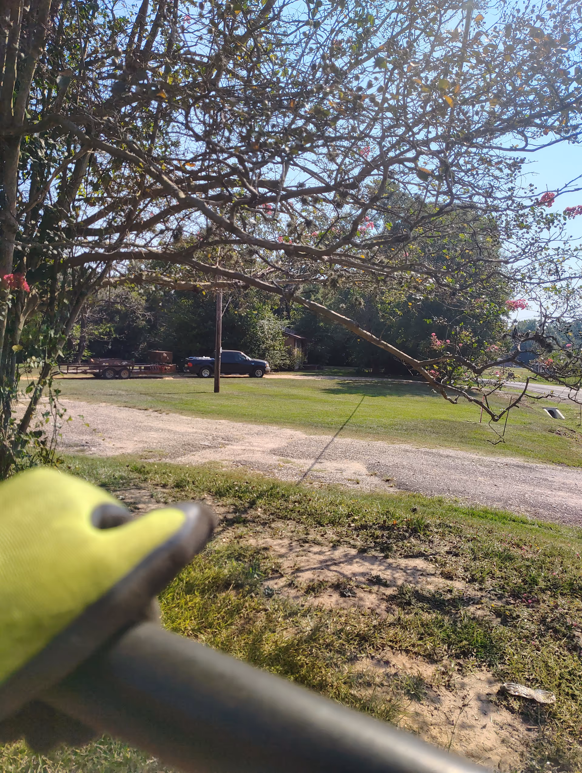 Outdoor view of a grassy yard with trees, a gravel path, and parked vehicles.
