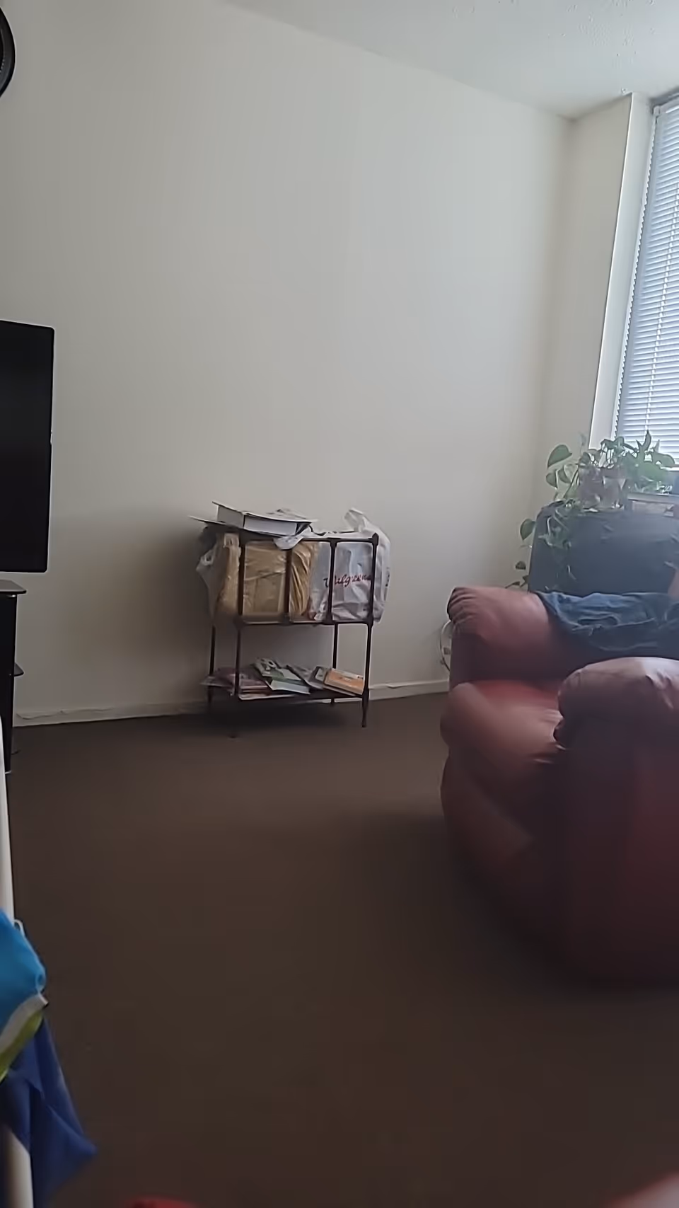 A small living room with a red armchair, TV, magazines, and plants.