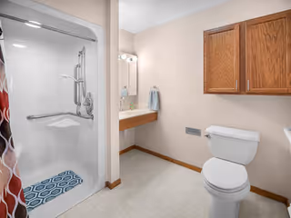 ADA-accessible bathroom with shower, toilet, sink, and wooden cabinets in a beige room.