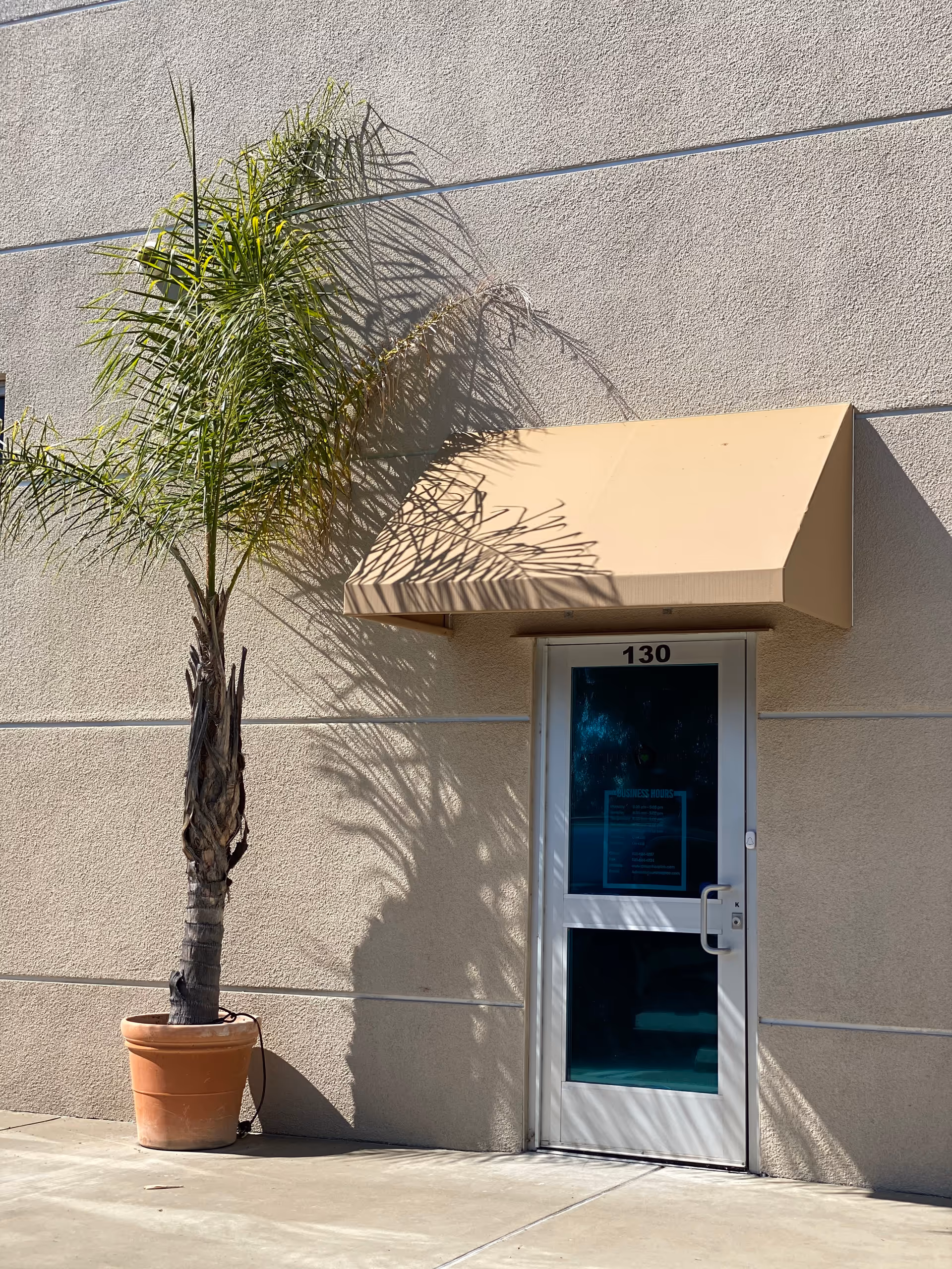 Exterior view of a beige building entrance with a potted palm tree.