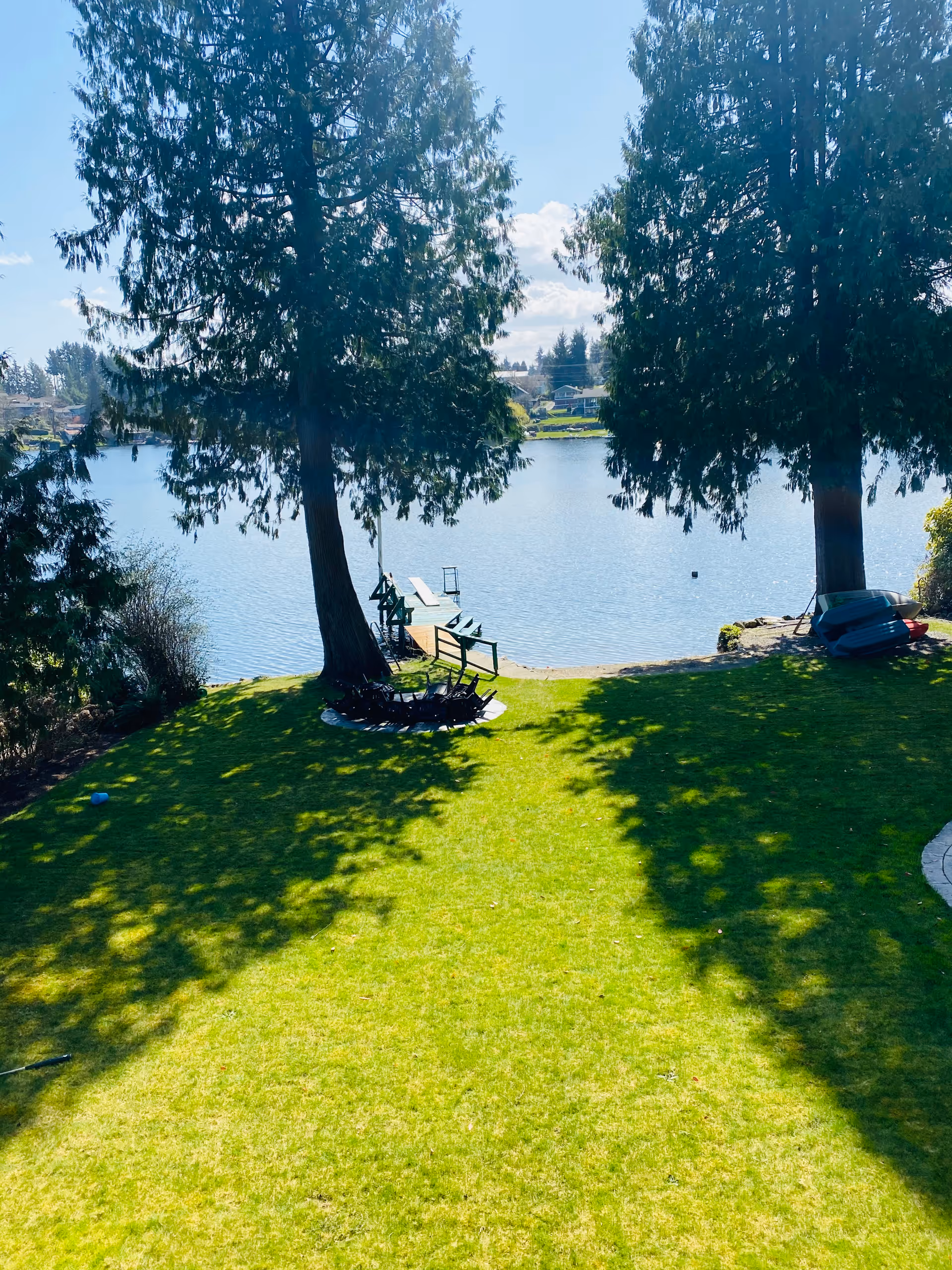Lawn by a lake with trees, benches, and a small dock along calm water.