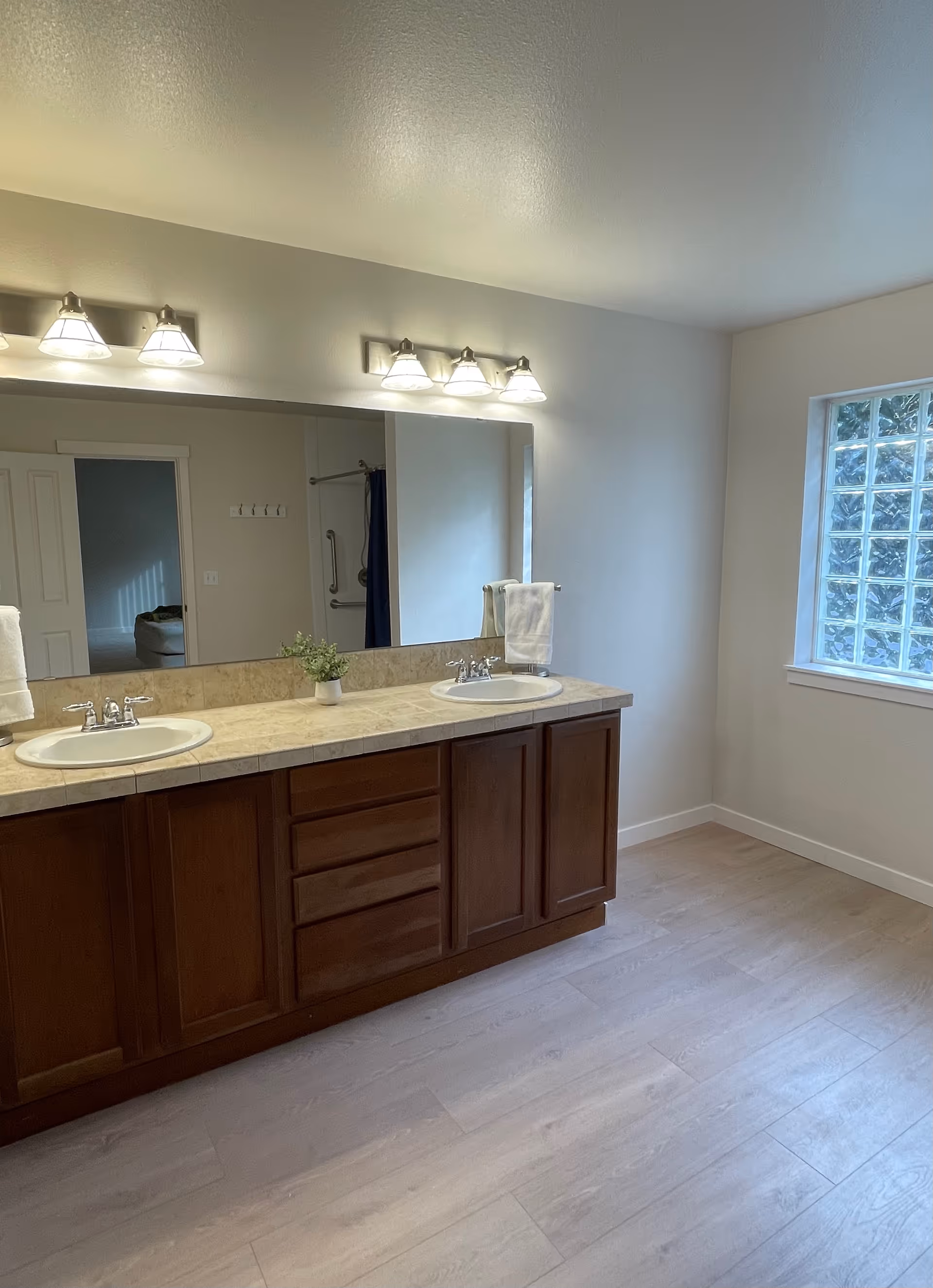Double-sink bathroom vanity with mirror, lights, towels, plant, and a window.