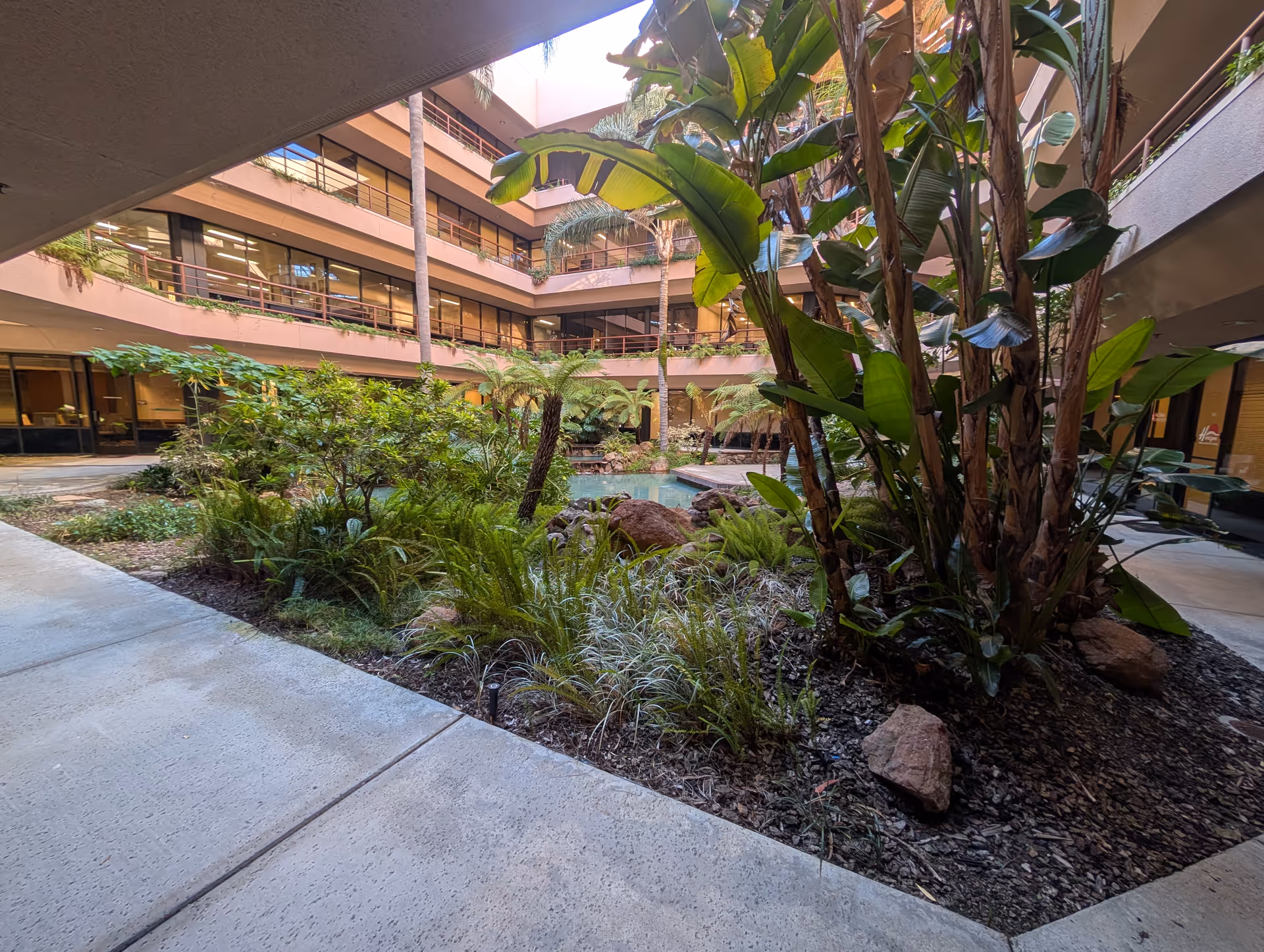Indoor atrium courtyard with tropical plants, stone pathways, and water feature.