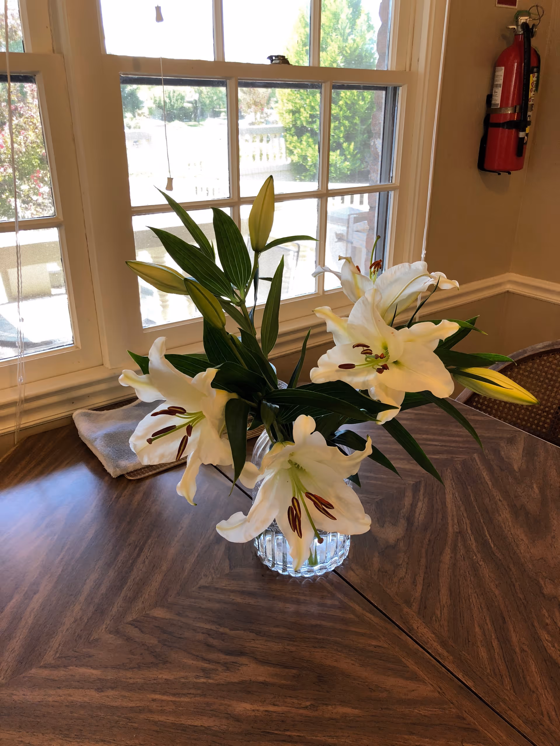 A glass vase of white lilies sits on a wooden table in front of a window inside a dining area.