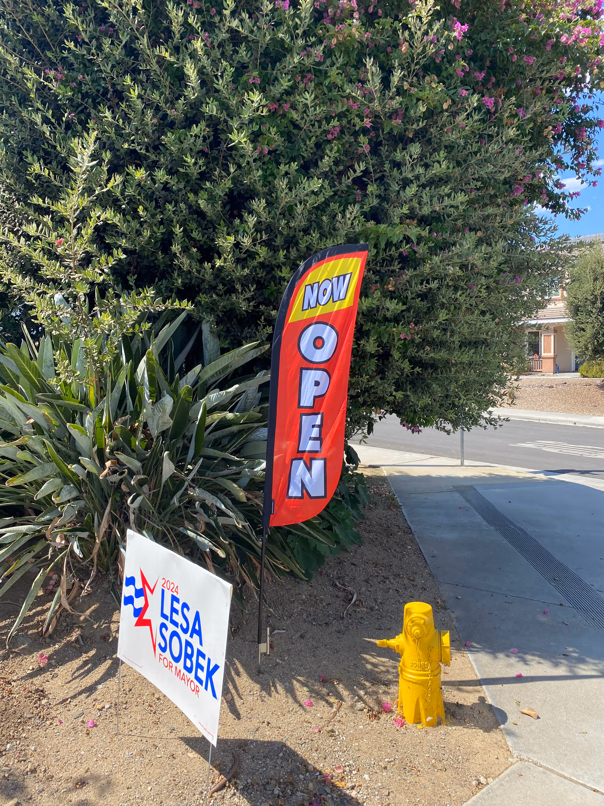 Outdoor scene with a bright 'NOW OPEN' flag, lush shrubs, a yellow fire hydrant, and sidewalk.