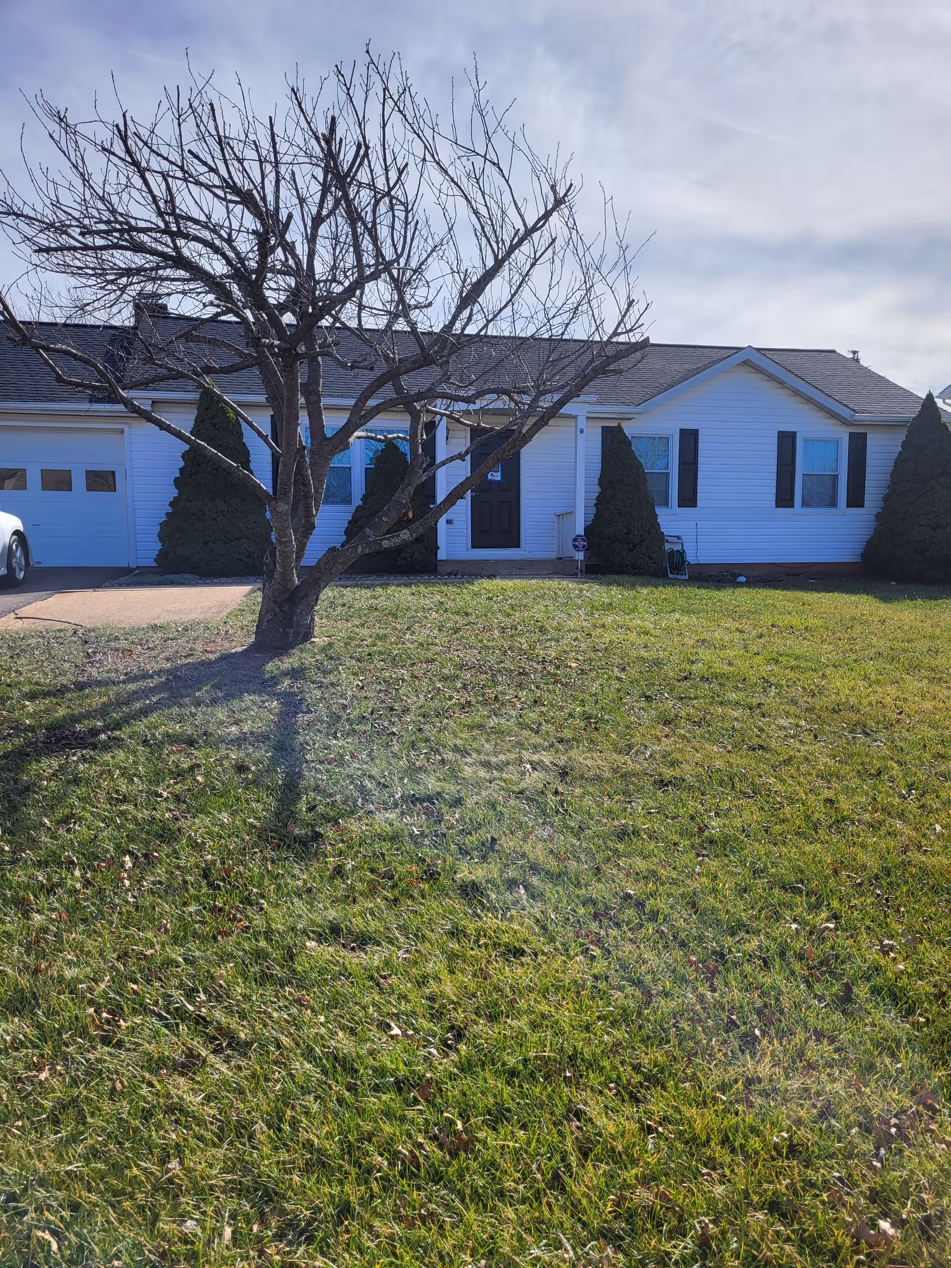 Front view of a single-story white house with a bare tree and lawn.