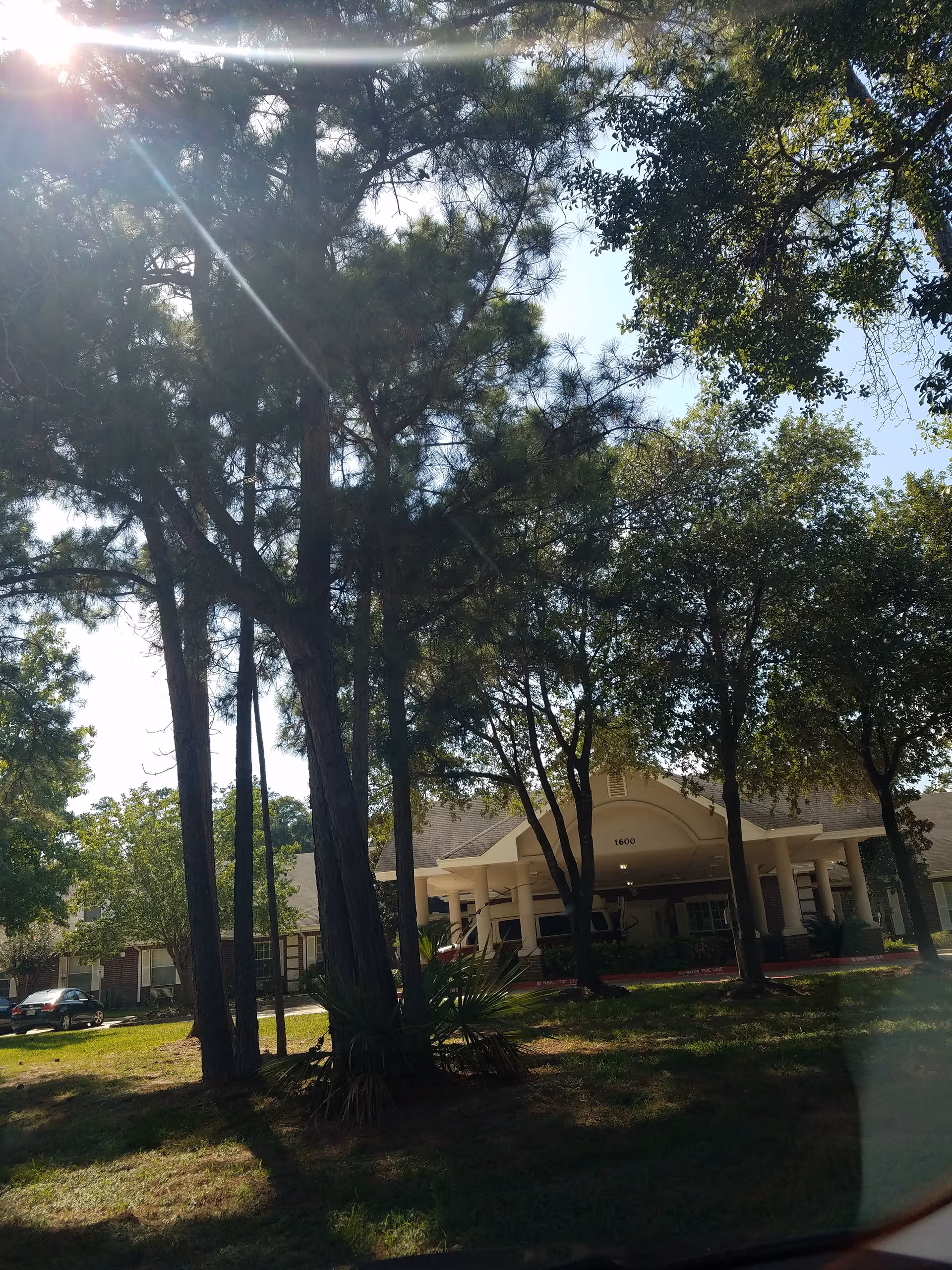 Exterior view of Park Manor of Conroe with a tree-lined entrance and parked cars.