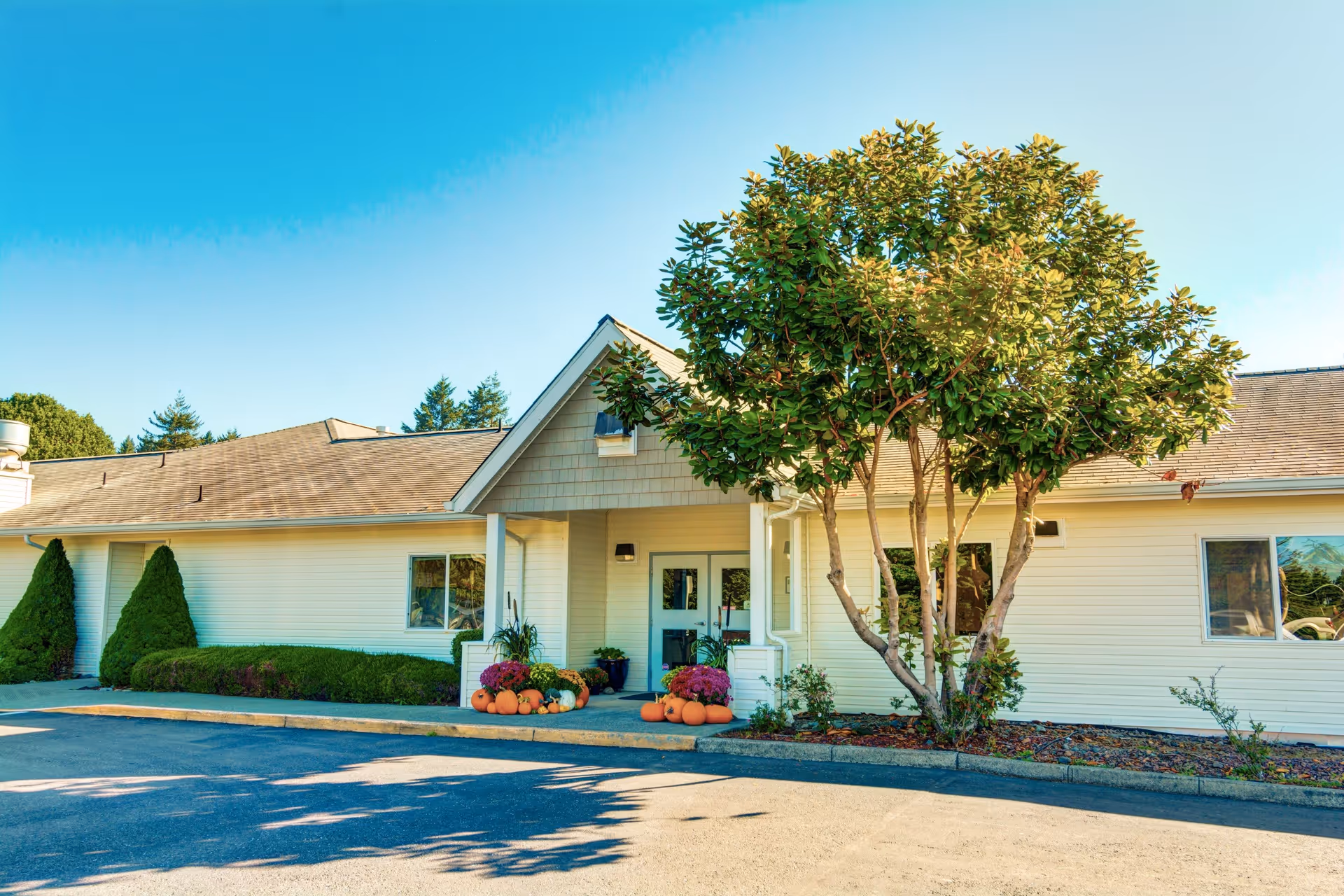Exterior view of a single-story building with beige siding and a gabled roof under a clear blue sky. The entrance is decorated with pumpkins and potted flowers, and there is a large leafy tree to the right of the doorway. Shrubs and small trees line the front of the building.