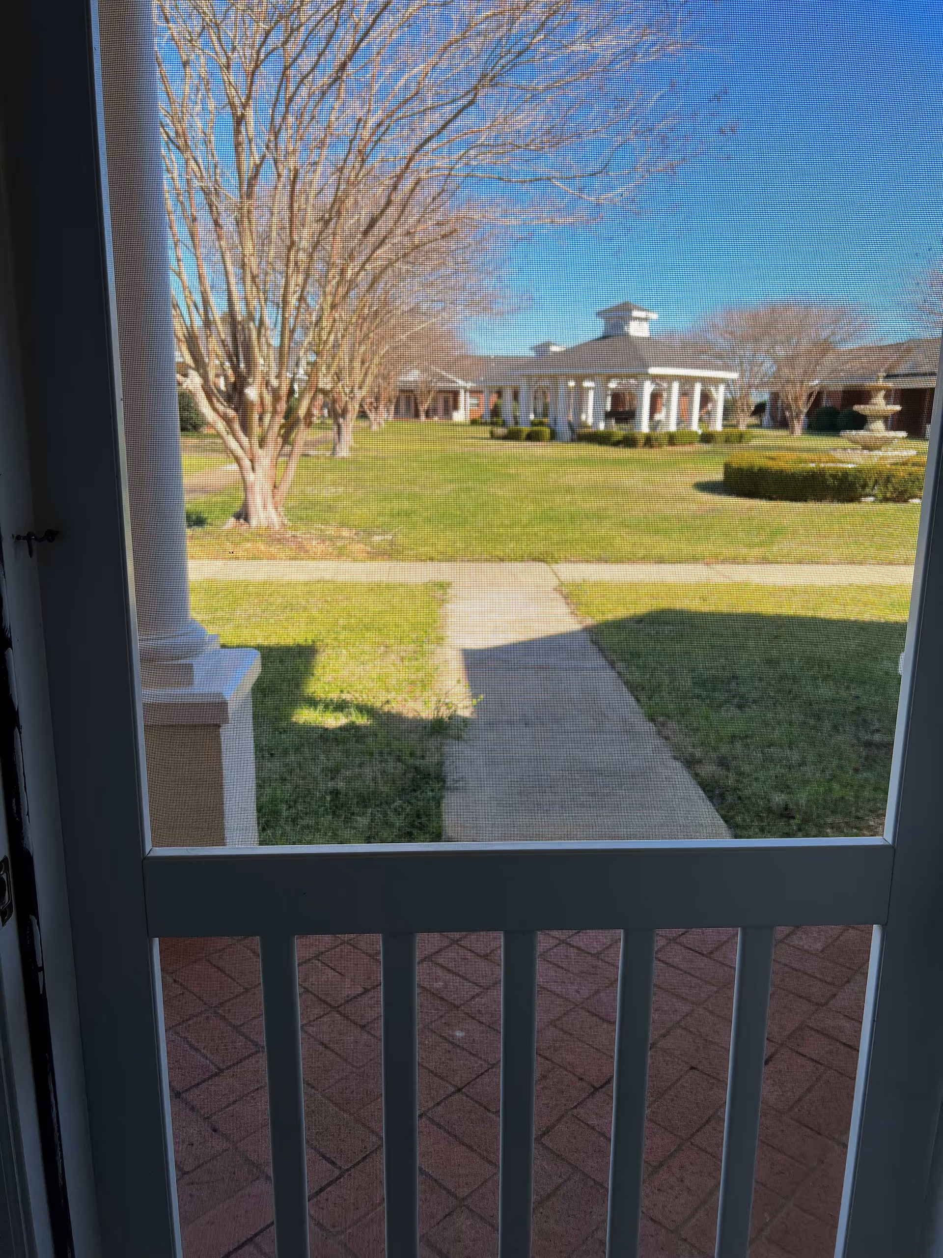 View through a screened door showing a paved walkway leading to a gazebo structure in the center of a grassy courtyard with leafless trees and a fountain on the right side under a clear blue sky.