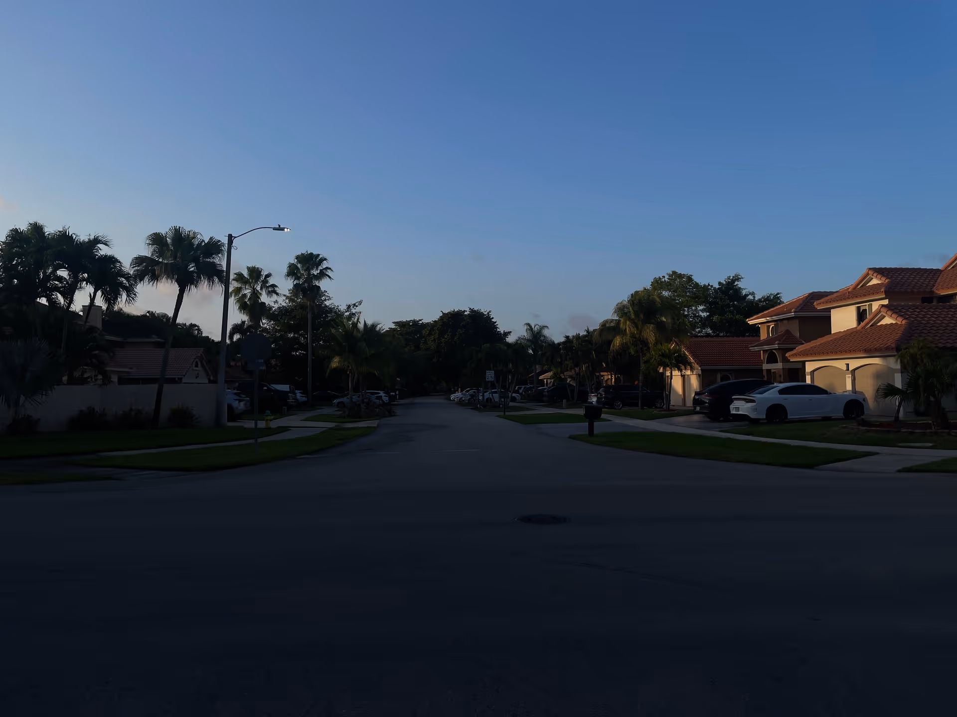 Suburban street with palm trees and houses under a clear blue sky.