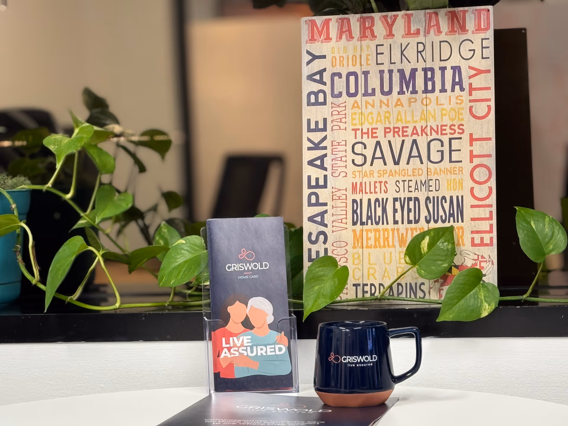 Indoor reception area with a plant, colorful poster, Griswold brochure, and blue mug.