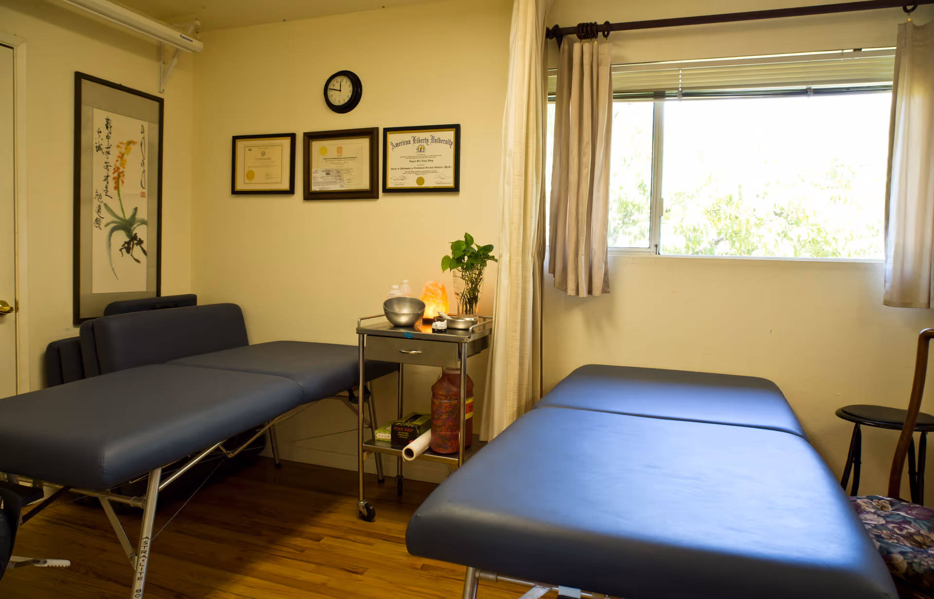 Treatment room with two blue examination tables, wall certificates, and a window.