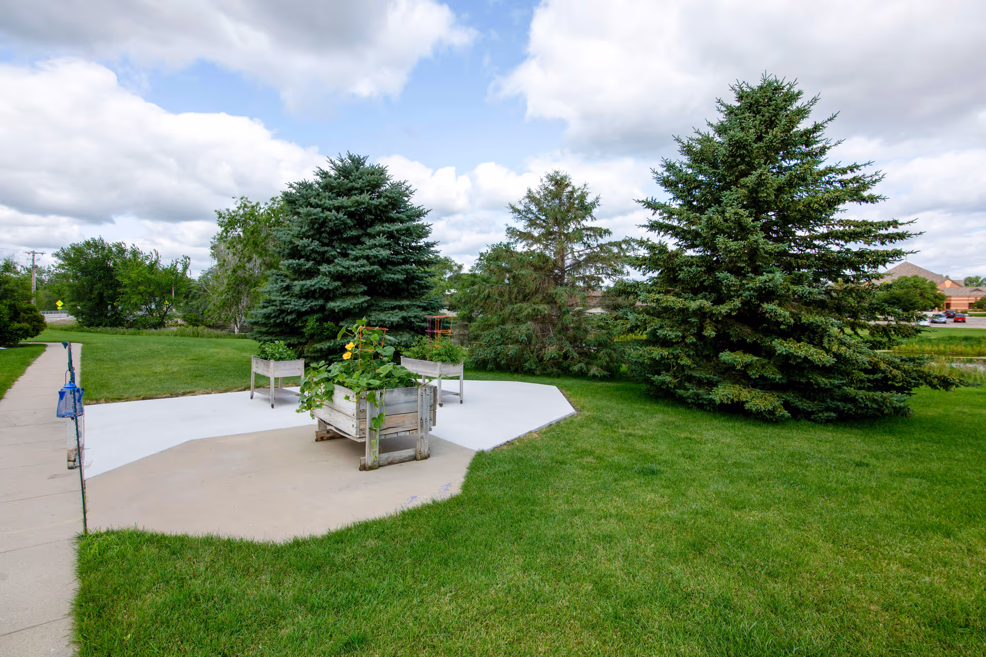 Outdoor lawn with seating area, planters, and evergreen trees.