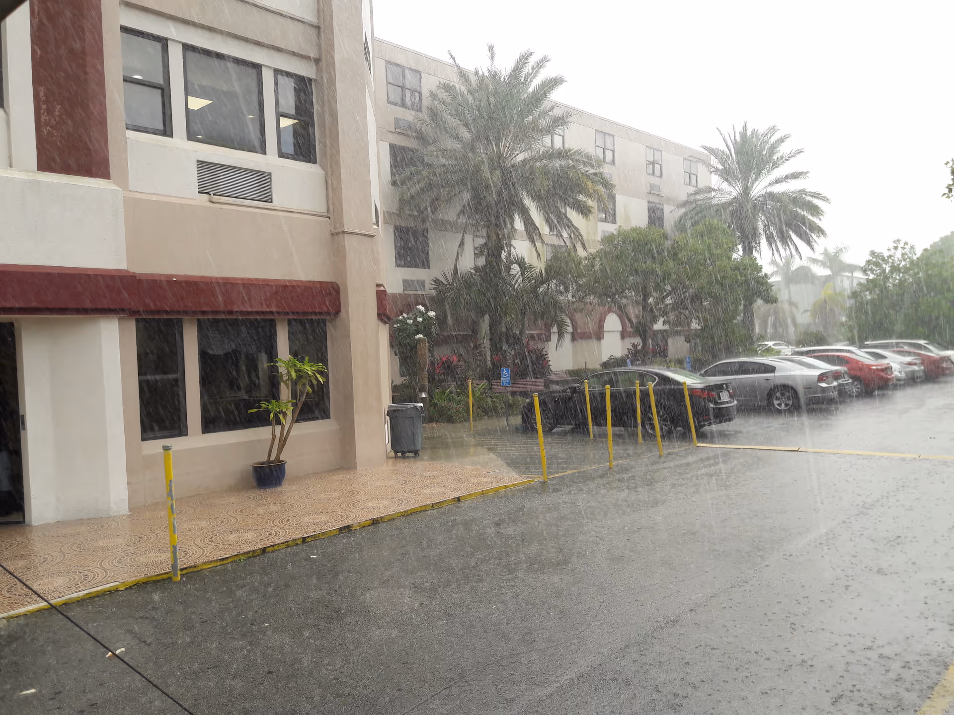 Exterior view of South Dade Nursing and Rehab Center with parked cars in rain.