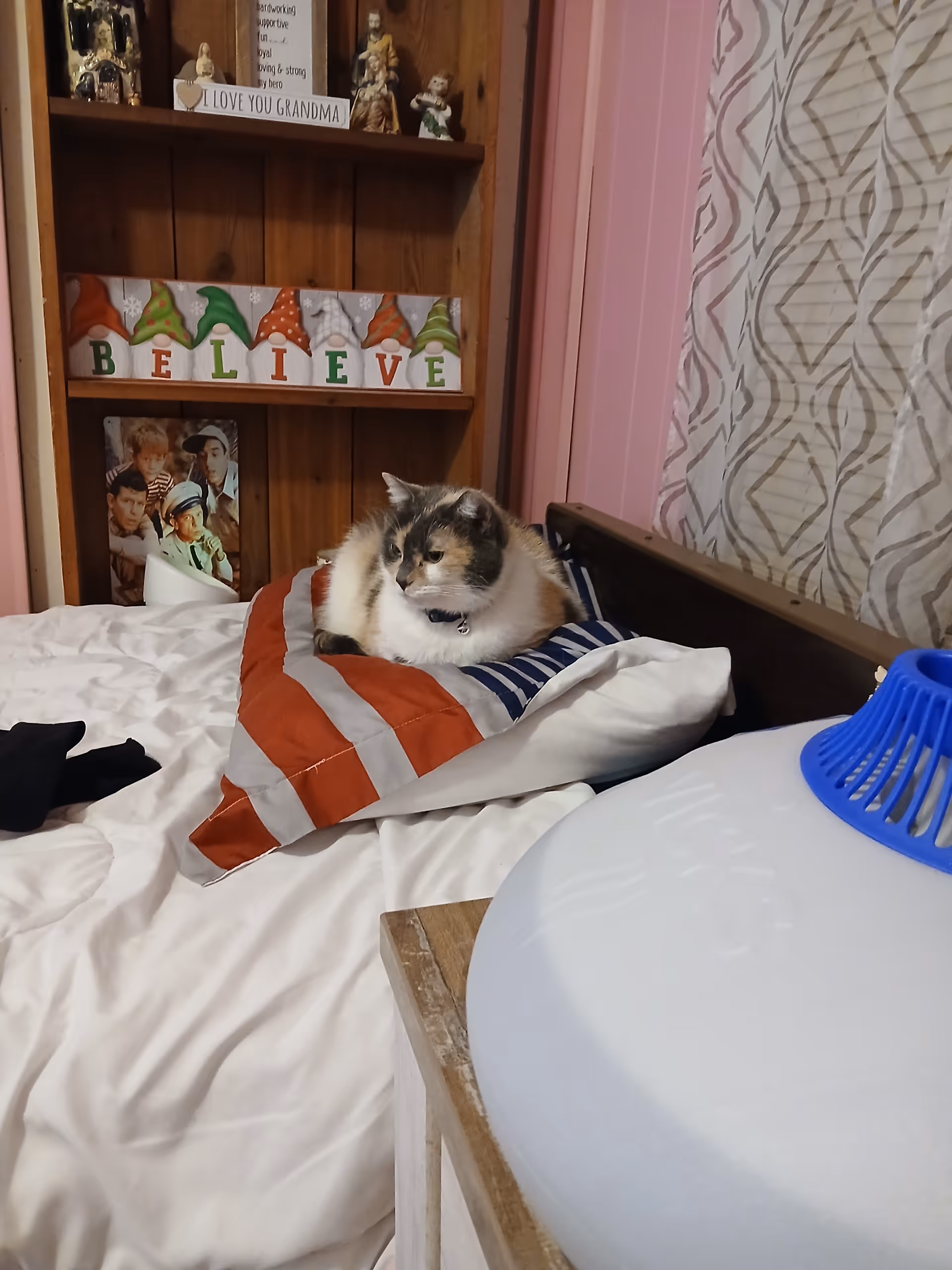 Cat lounging on a striped pillow on a bed inside a pink-walled bedroom.