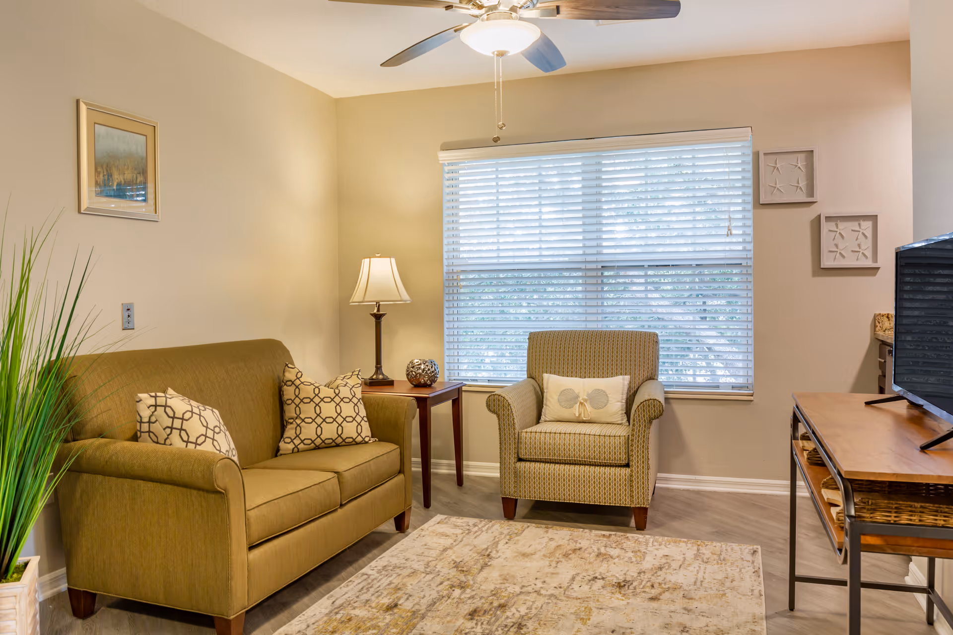 A cozy living room with olive sofa, armchair, side table, rug, and TV.