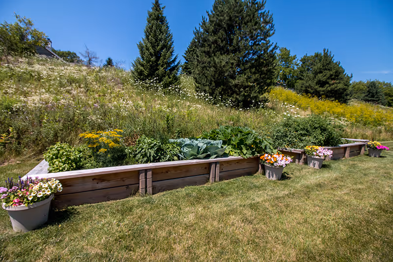 There are raised wooden garden beds and potted flowers along a grassy outdoor area.
