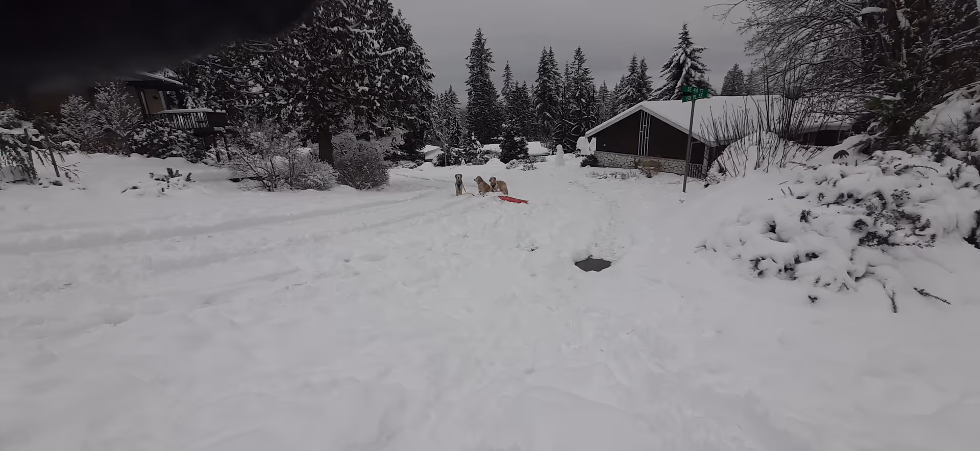 Snowy outdoor scene with cabins, trees, and distant people near a red sled.